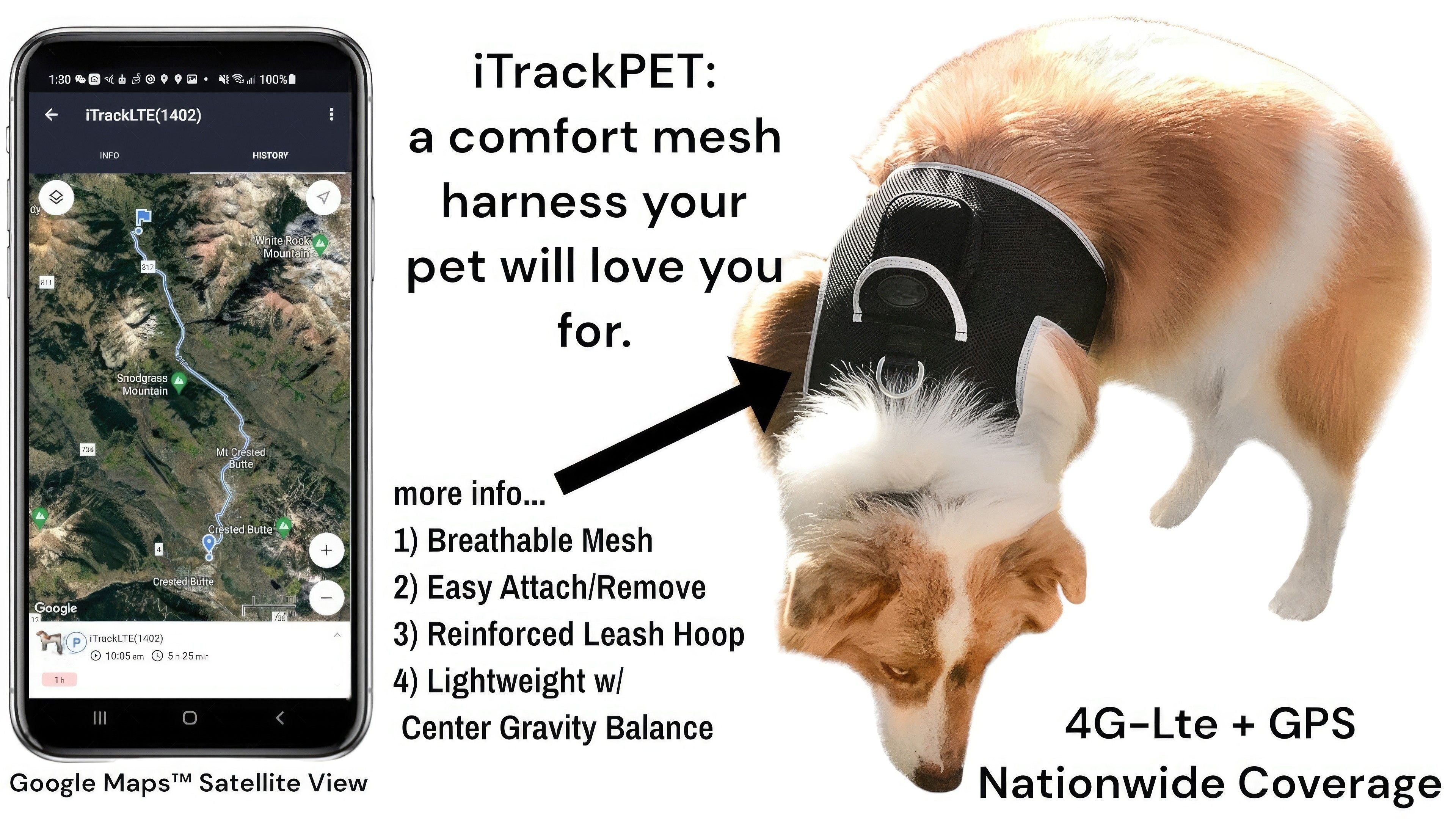 Waterproof Mobile GSM GPS Tracking Device for Dogs Pocket Pet Locator Size:M