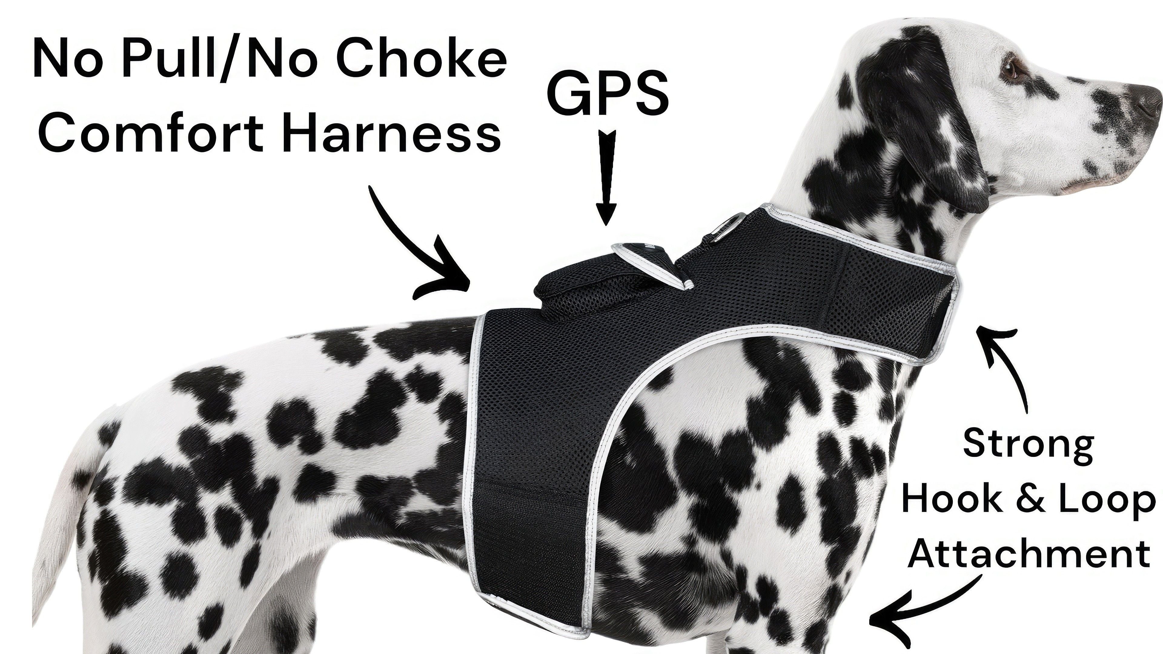 Reputable Water Resilient GPS Tag for Dogs Rechargeable Collar Mount GSM Tracker Size:M