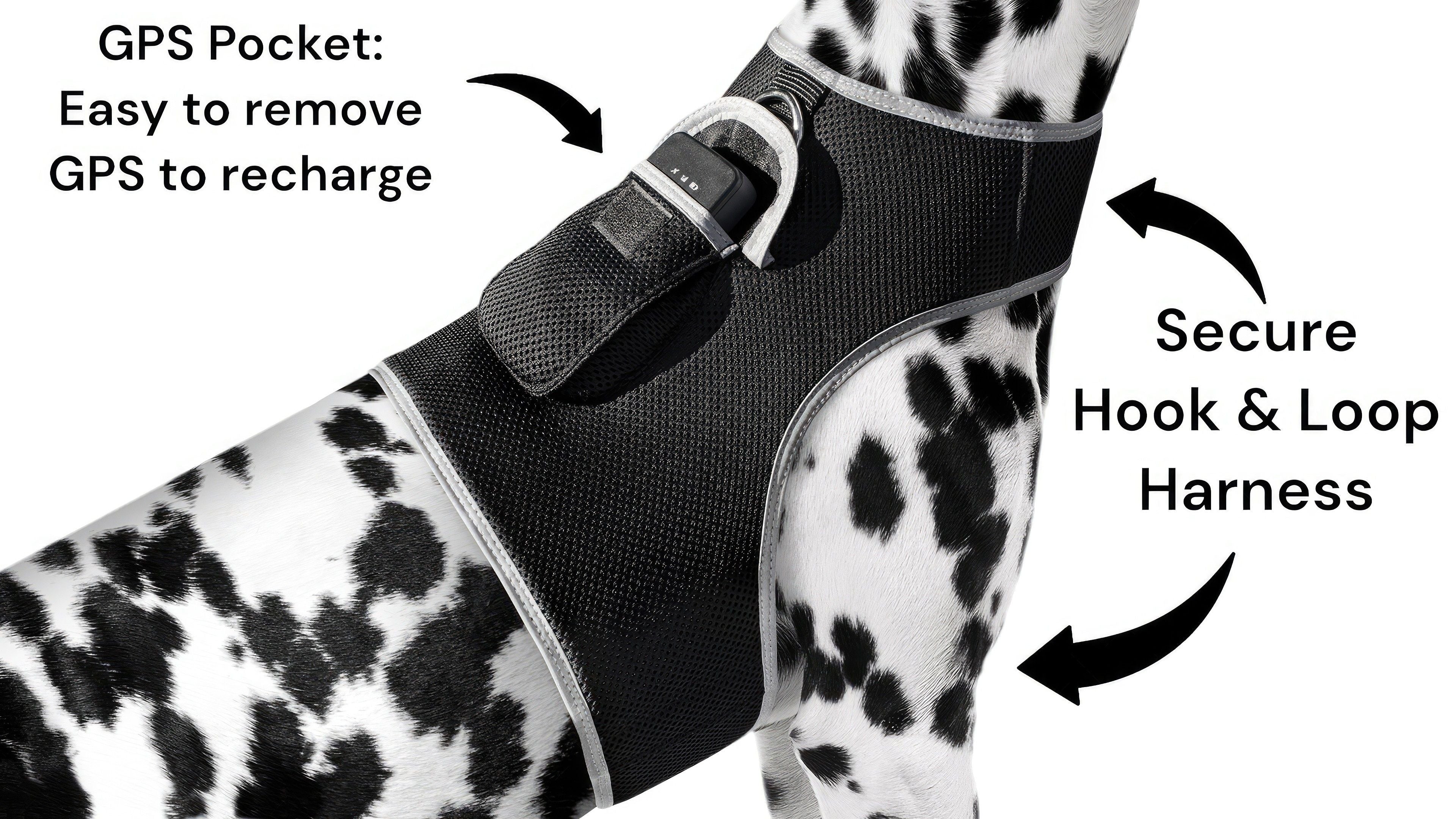 NEW GSM GPS Pet Mobile Locator Mini Waterproof Collar Tracker for Dog Size:S