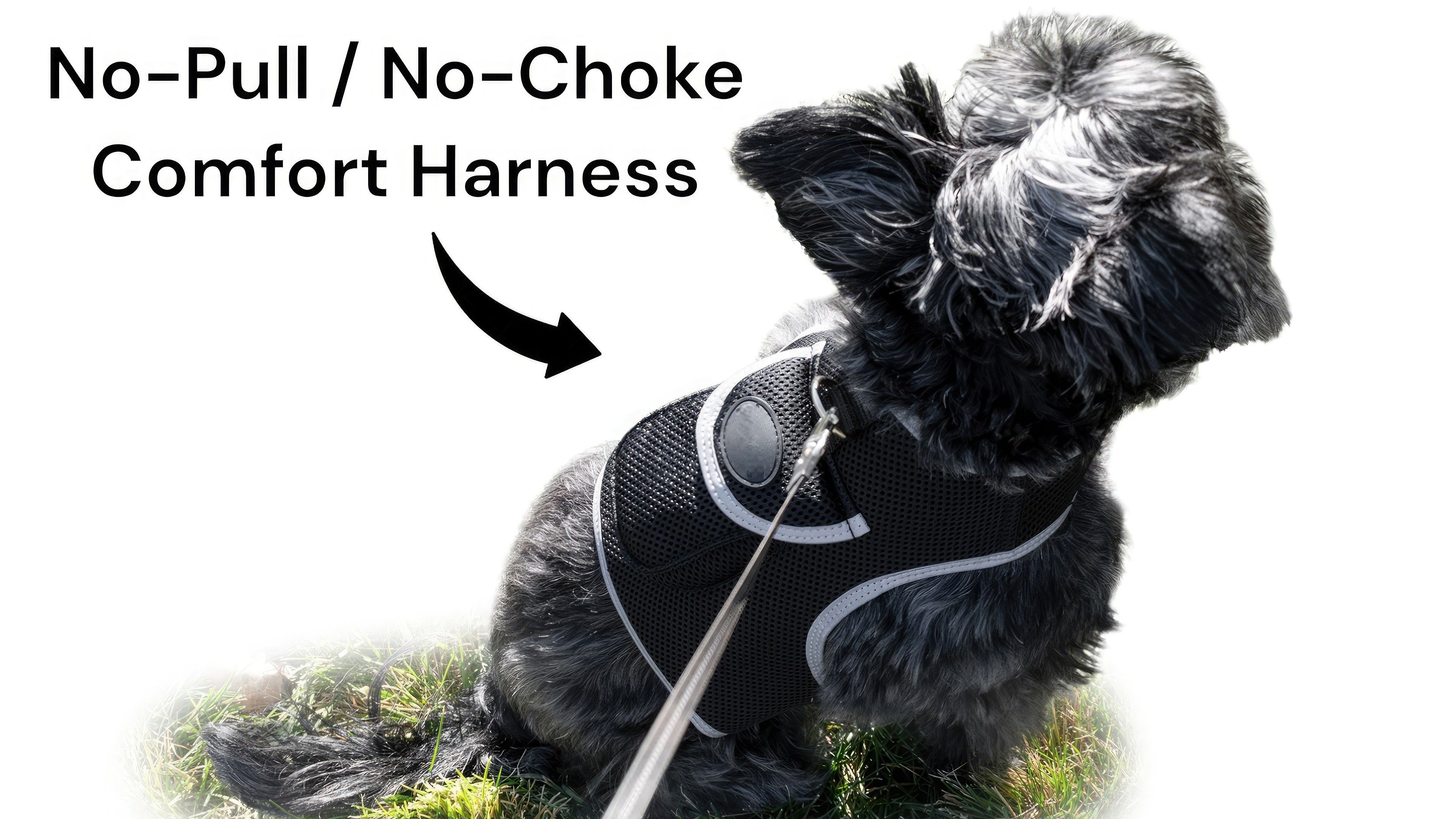 Mini Waterproof GPS Collar for Dogs Wireless Realtime Tracking Device Size:S