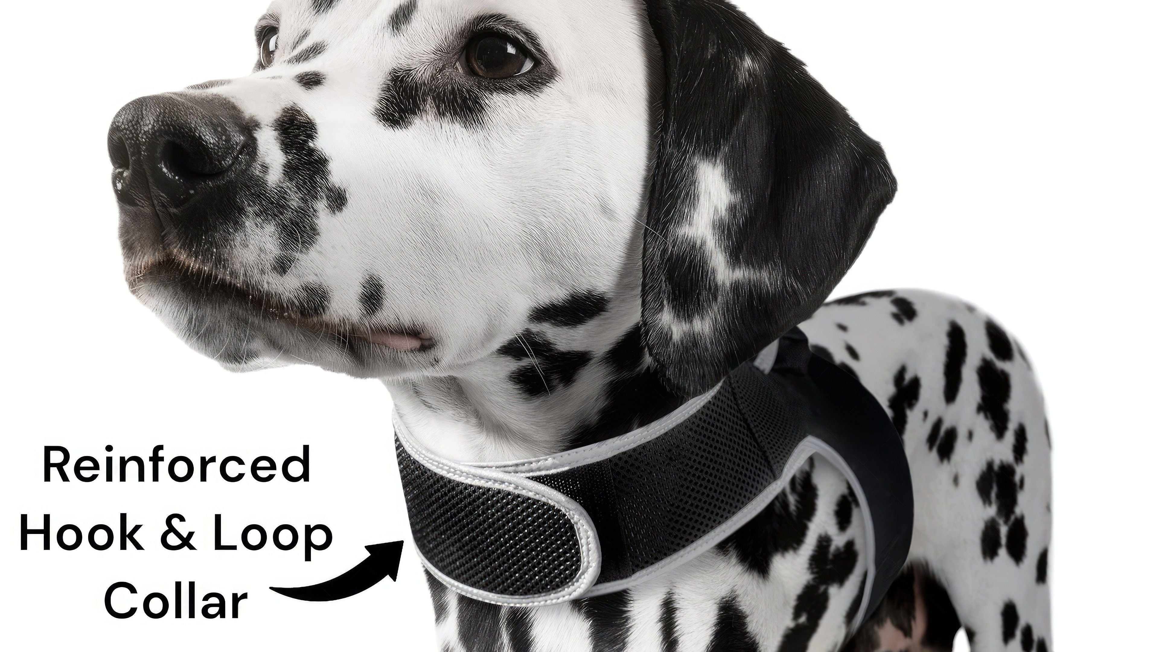 Mini GSM GPRS Tracking Device for Dog Waterproof Realtime GPS Locator Size:S