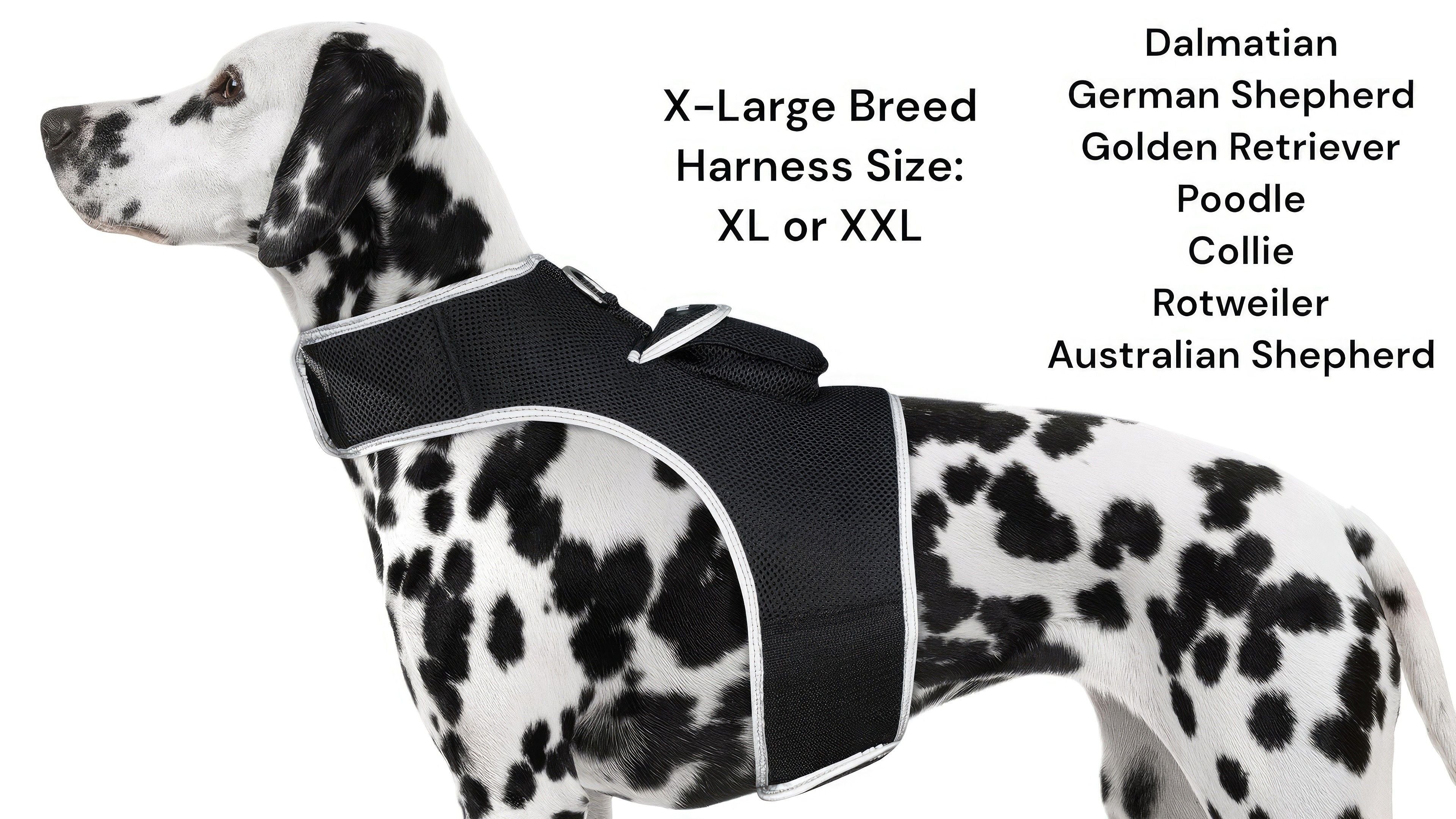 Realtime Pet Tracker GSM GPRS Realtime Tracking + Rechargeable Battery Size:S