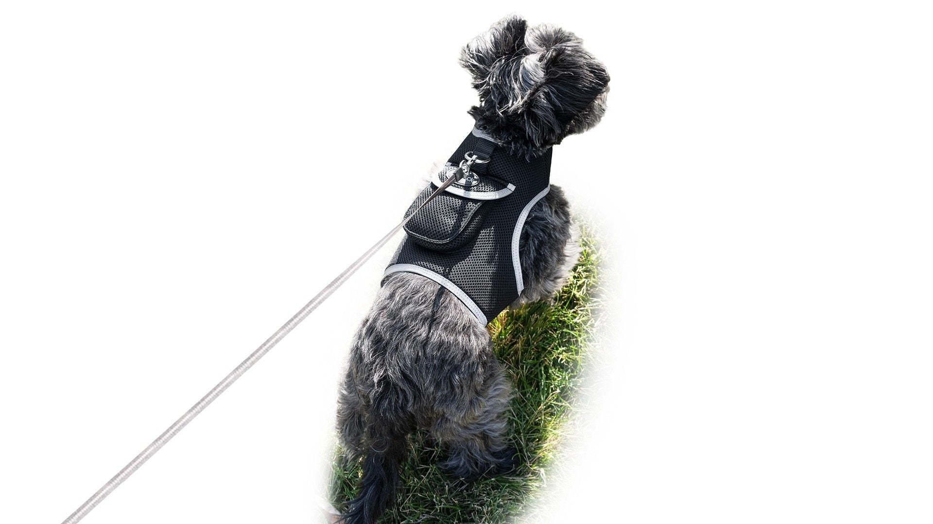 Realtime GPS Pet Tracker GSM GPRS Tracking Device to Prevent Pet Lost Size:XL