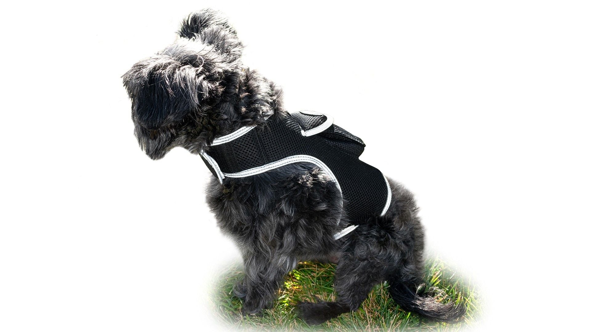 Wearable Surveillance Pet Tracker GPS Pet Tracking Devices Realtime System Size:M