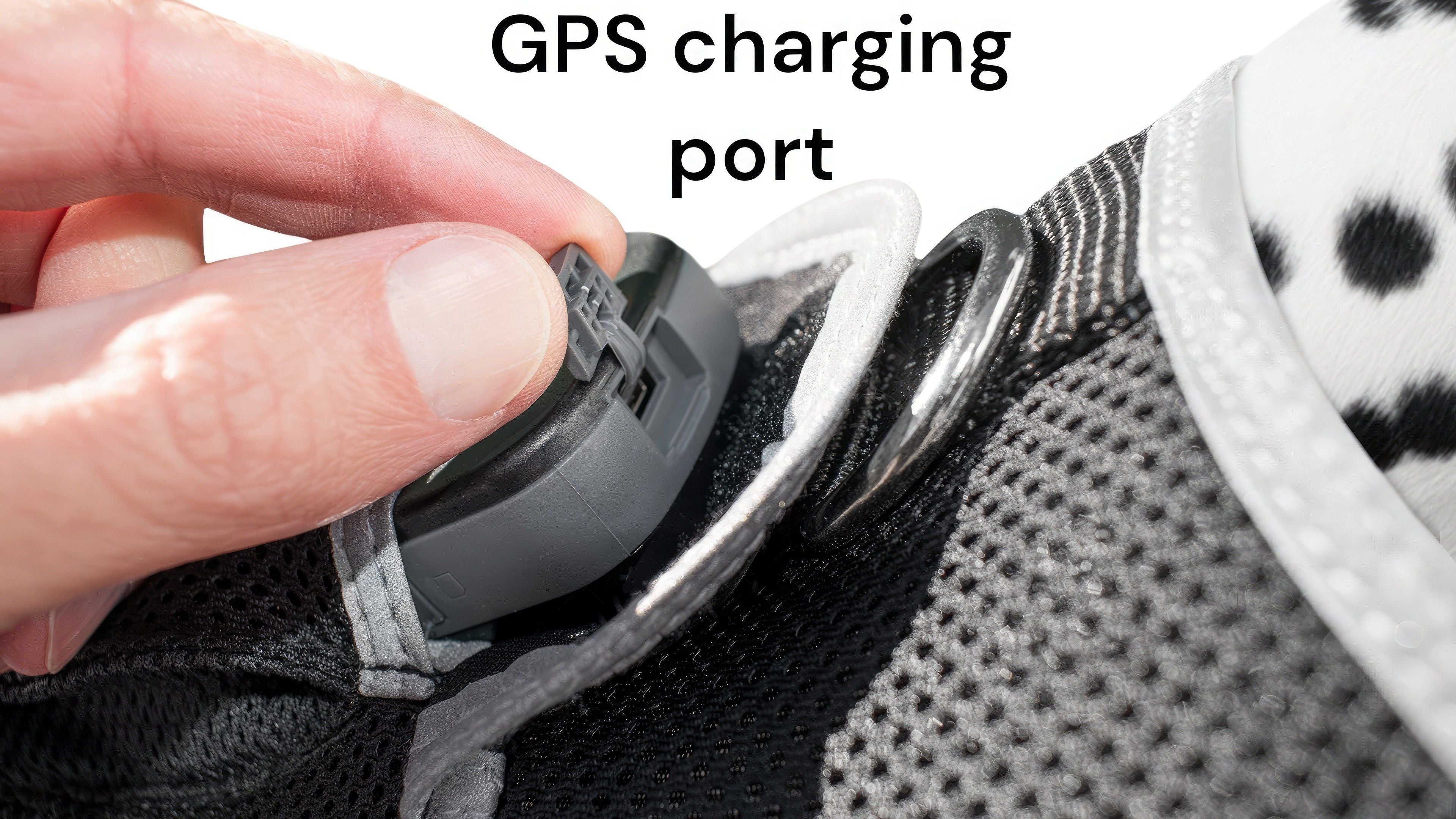 Worldwide Used GPS GSM GPRS Pet Tracking Collar Realtime Mini Locator Size:M