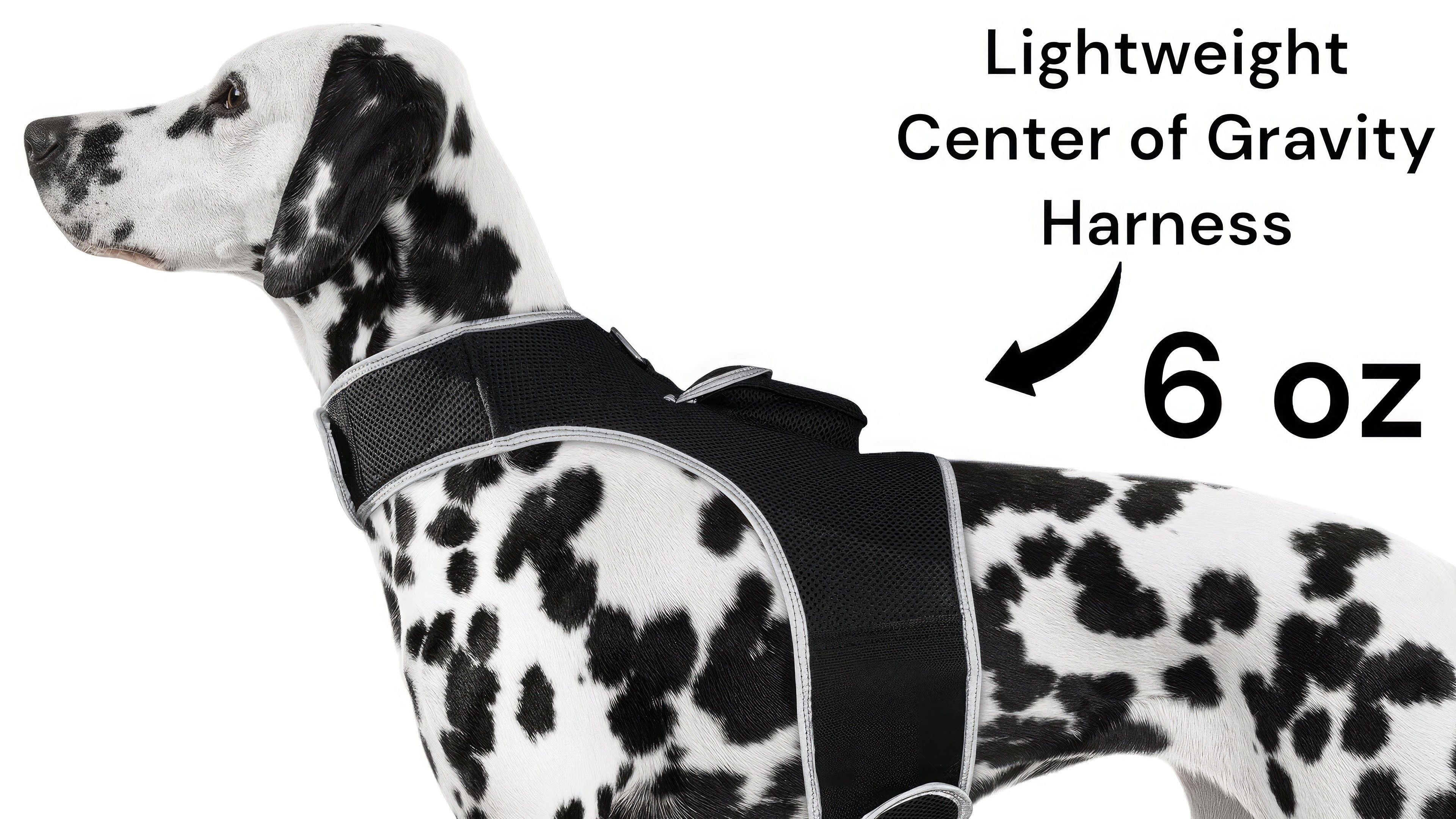 Rechargeable Realtime GSM GPRS GPS Pet Locator Tag Tracking Device NEW Size:M