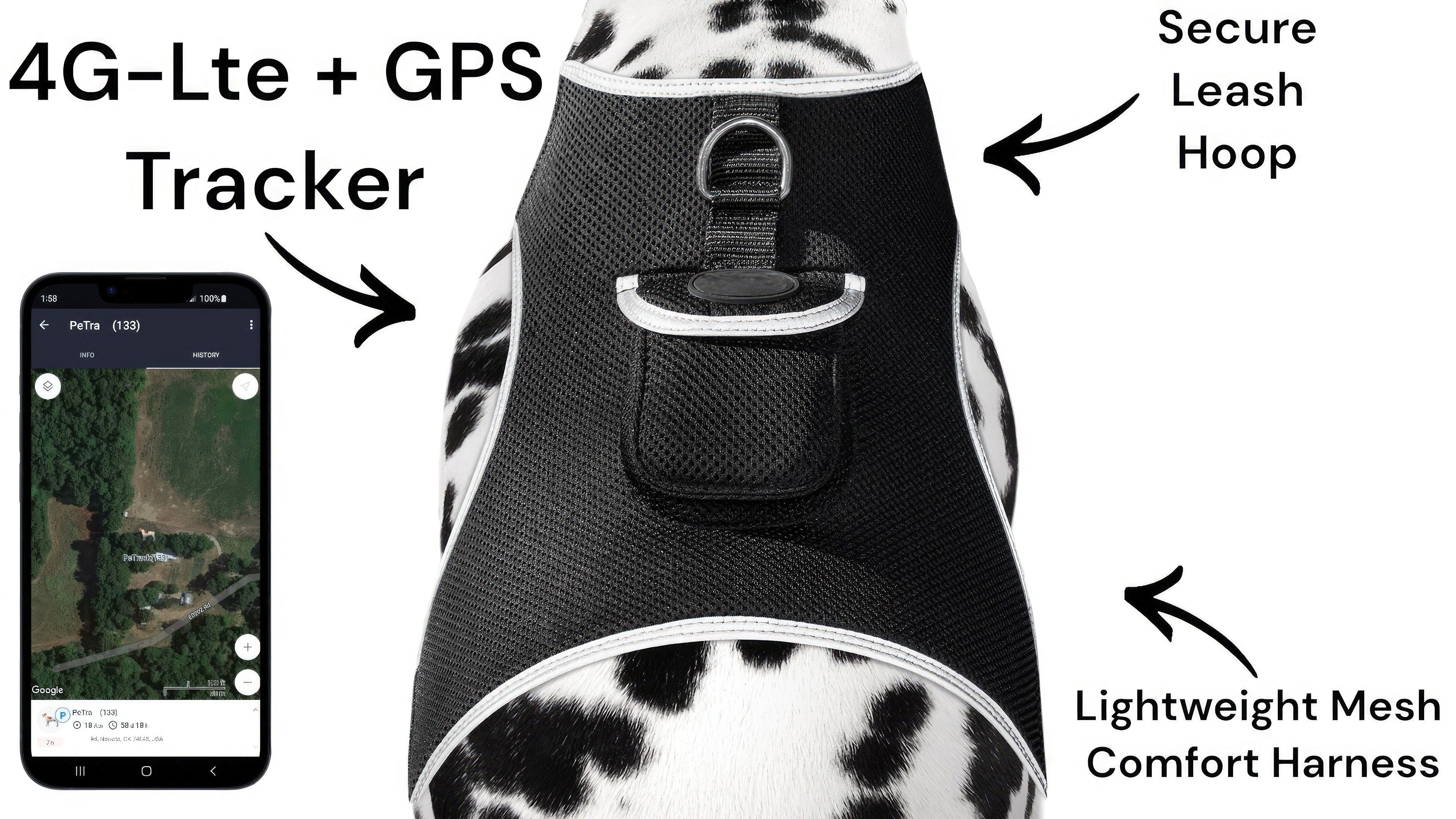 Reliable Portable Pocket GPS Location Finder Realtime Dog Tracking Tag Size:M