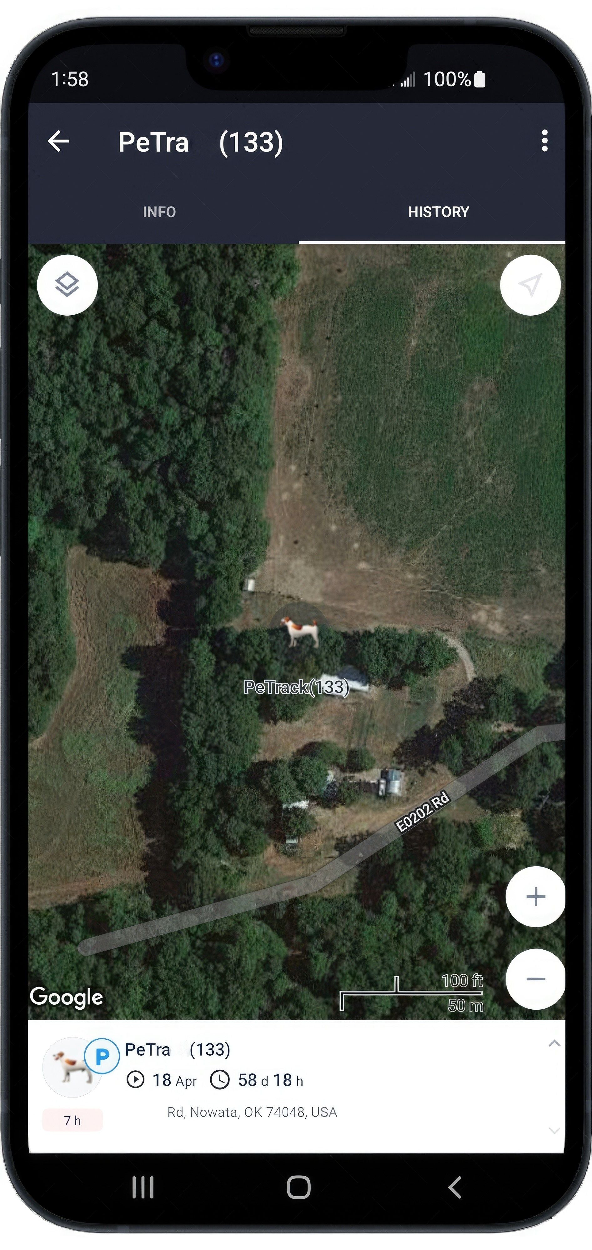Realtime GPS Pet Transmitter Long Range Tracking System Collar Tracker Size:XL