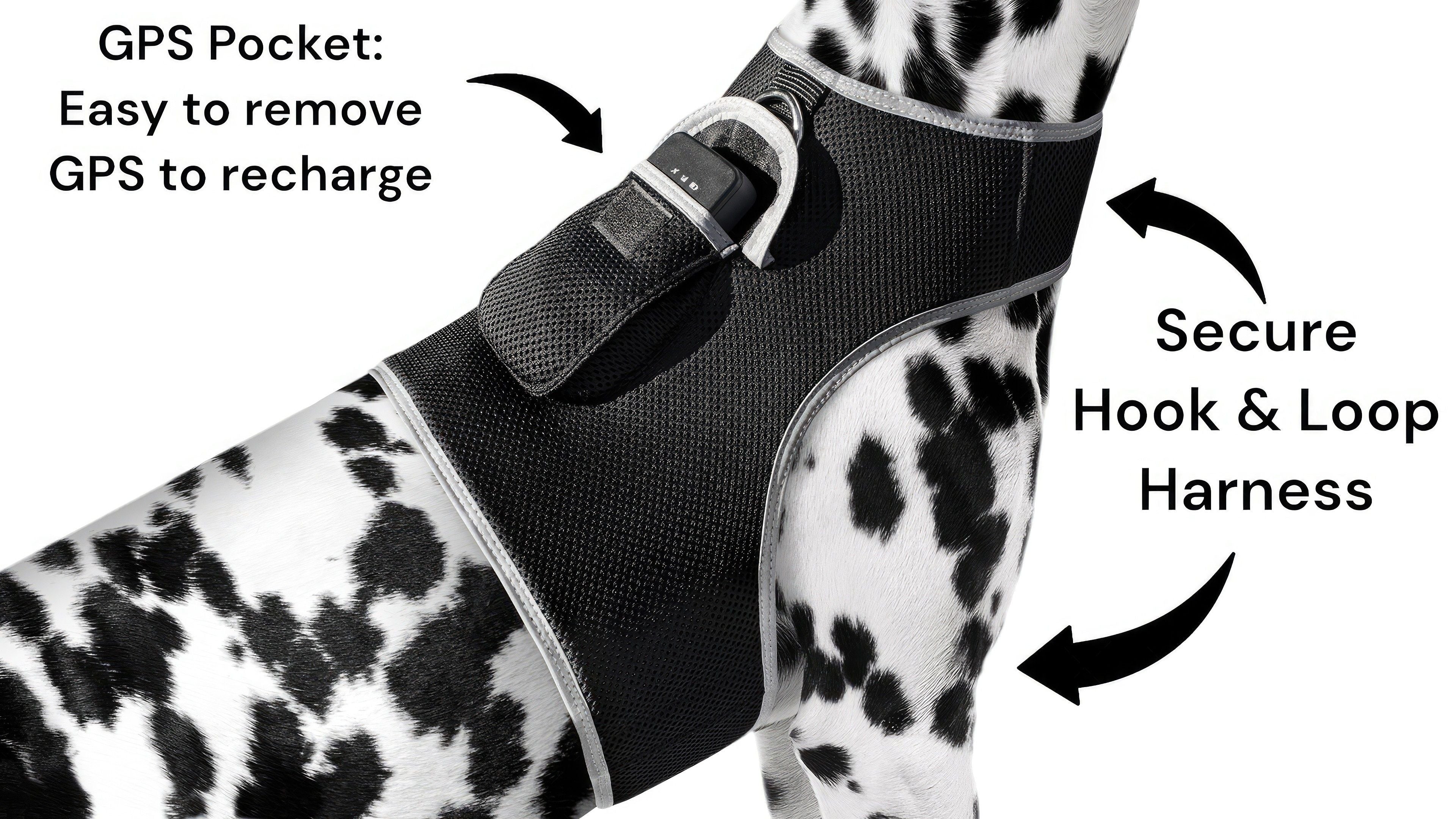 Portable Realtime Mini Pet Electronic Tracking System GPS GSM Tracker Size:L