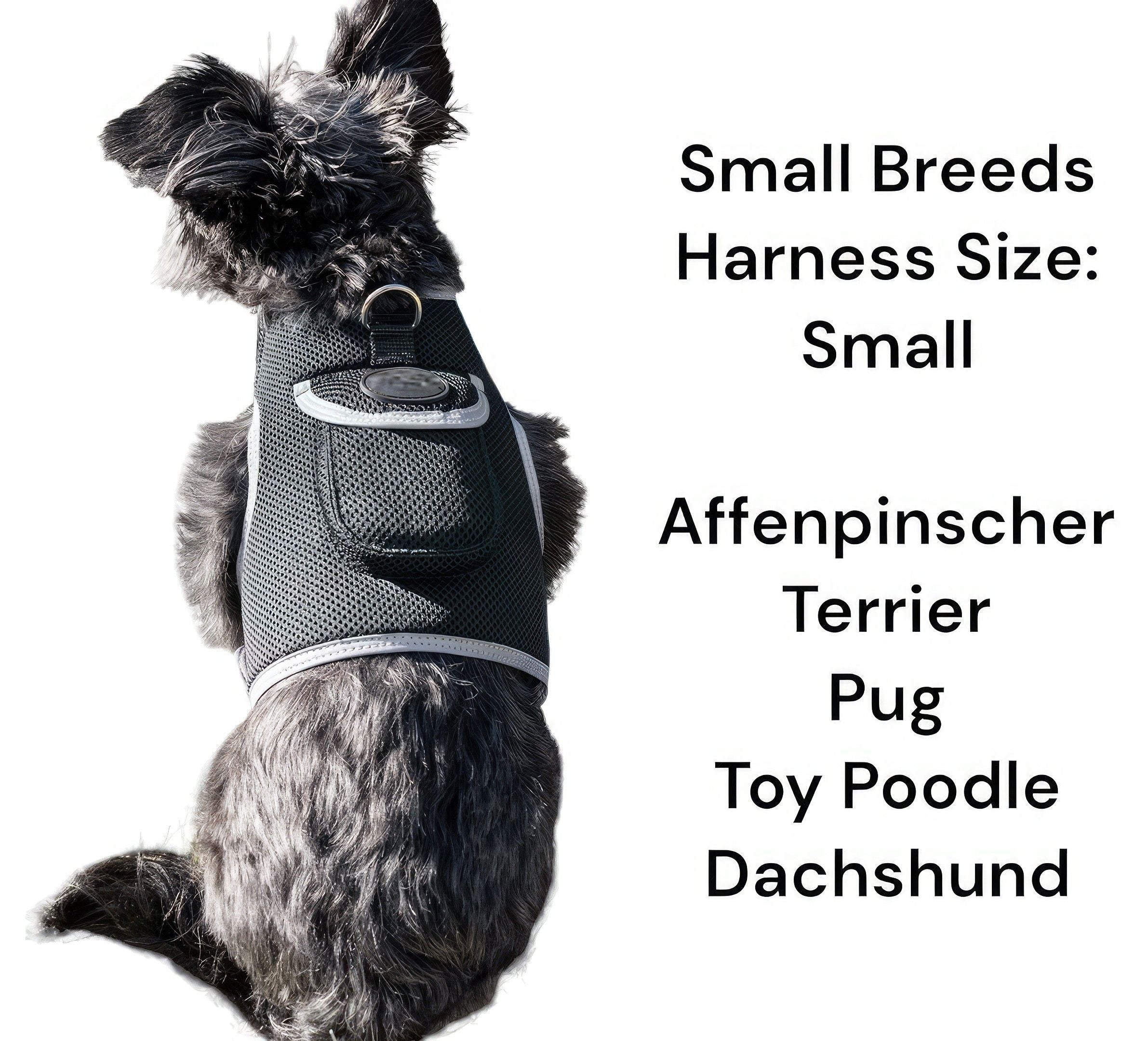 Portable Collar Mount GSM GPS Tag Pet Tracker Mini Surveillance Device Size:L