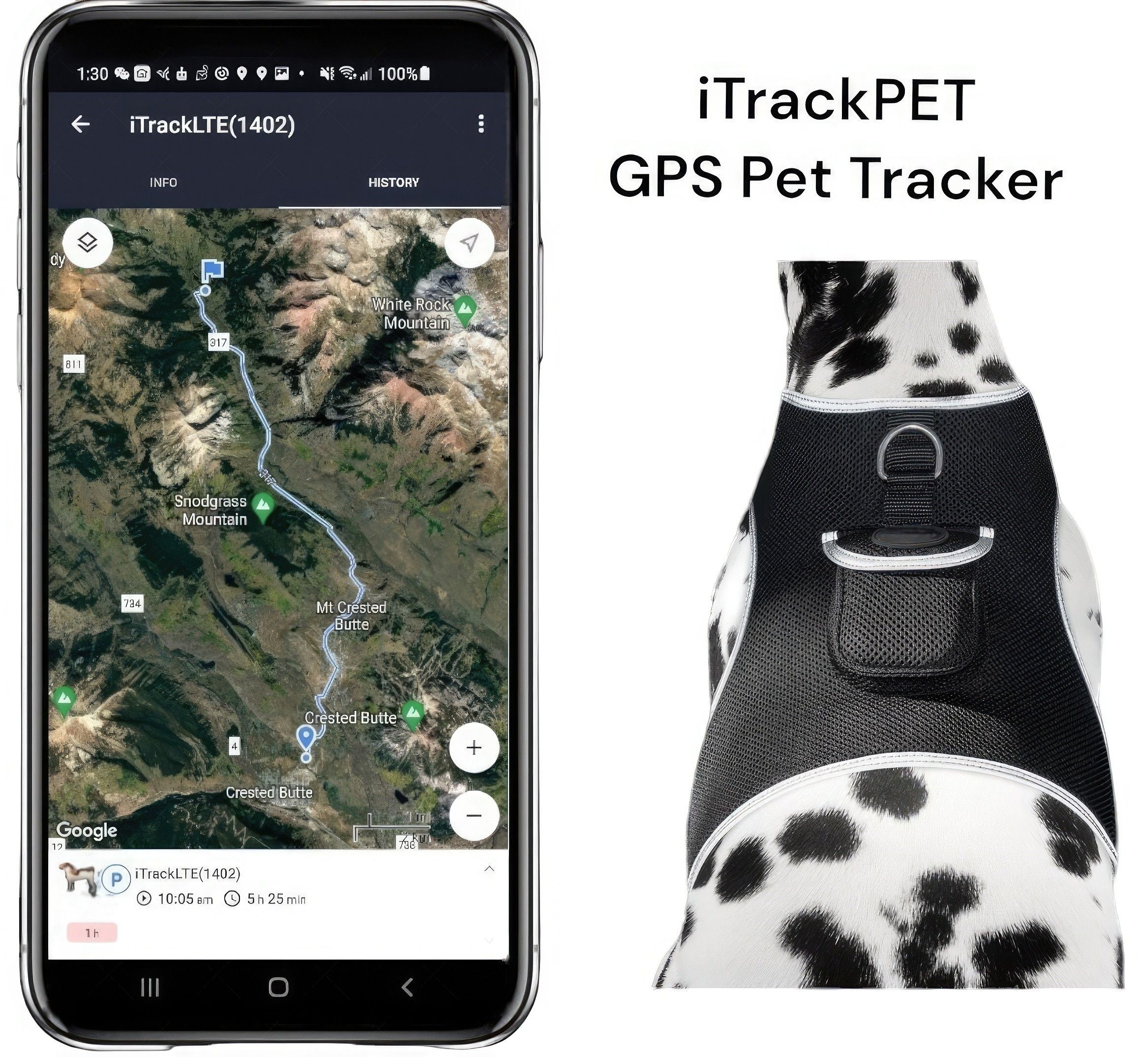 Reputable Water Resilient GPS Tag for Dogs Rechargeable Collar Mount GSM Tracker Size:L
