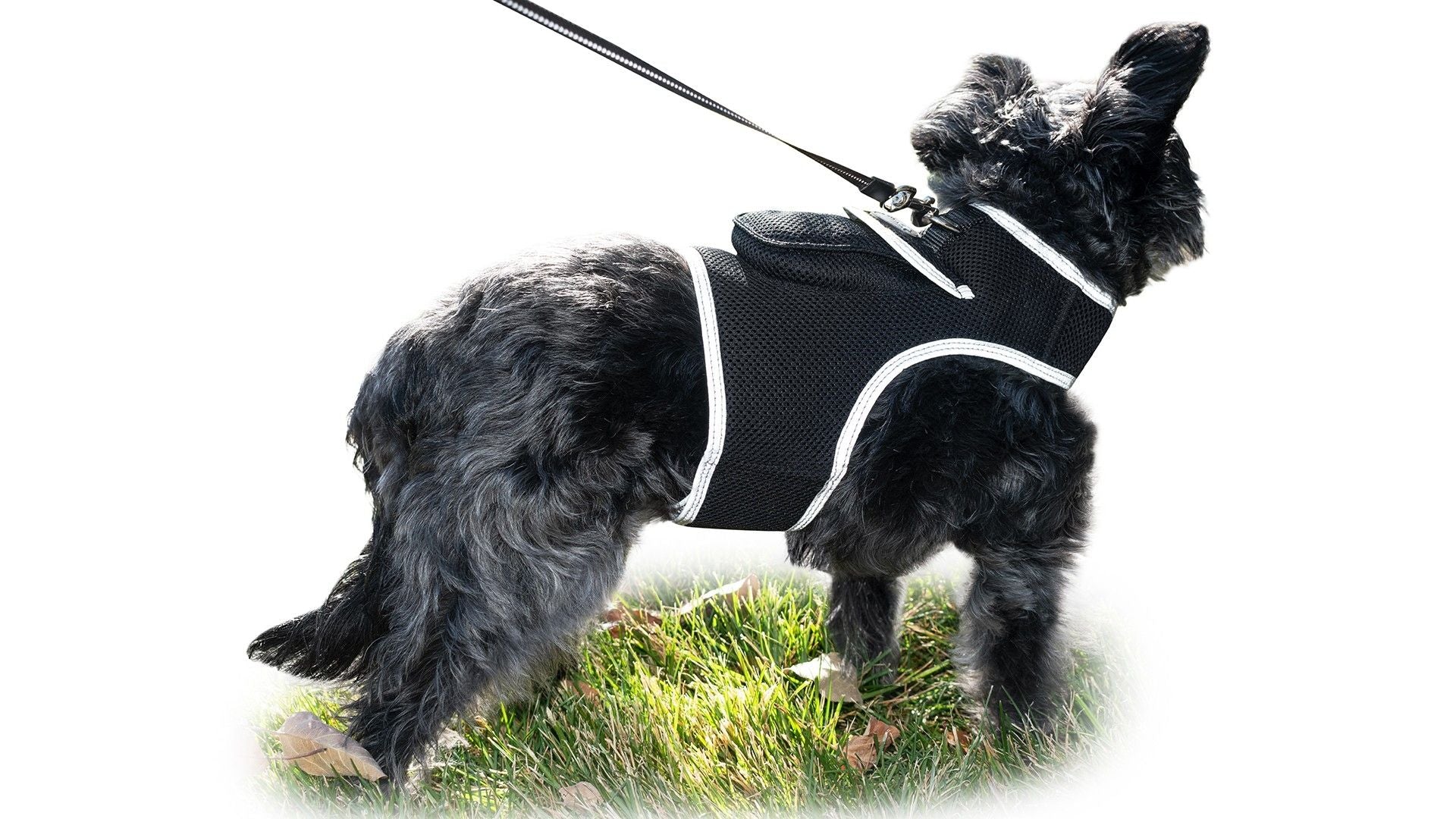 GPS Dog Tag Collar GSM Realtime Rechargeable Tracking Device + Mobility Sensor Size:L