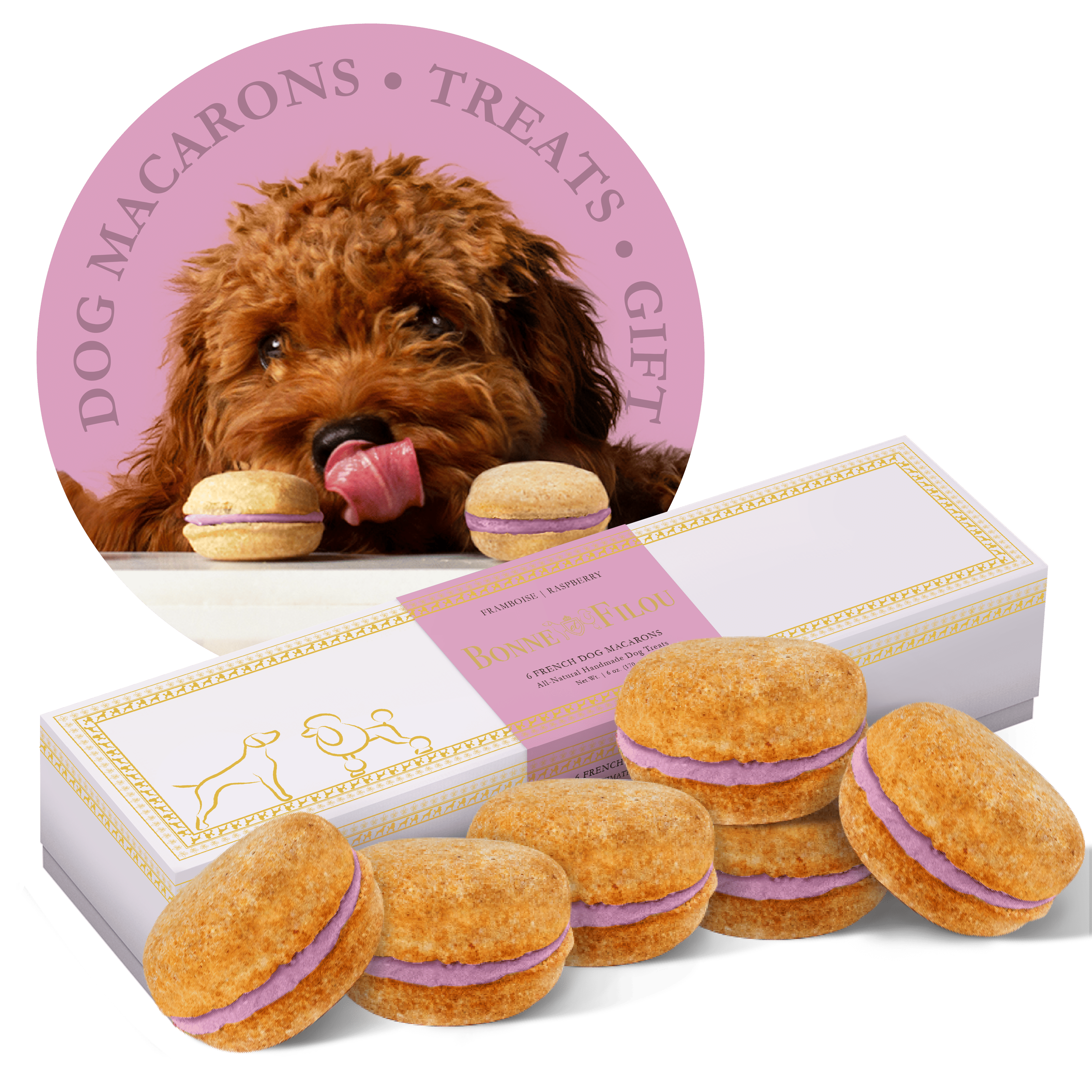 Dog Macarons - count of 6 (Dog Treats  Dog gifts)(D0102HIR0XU)