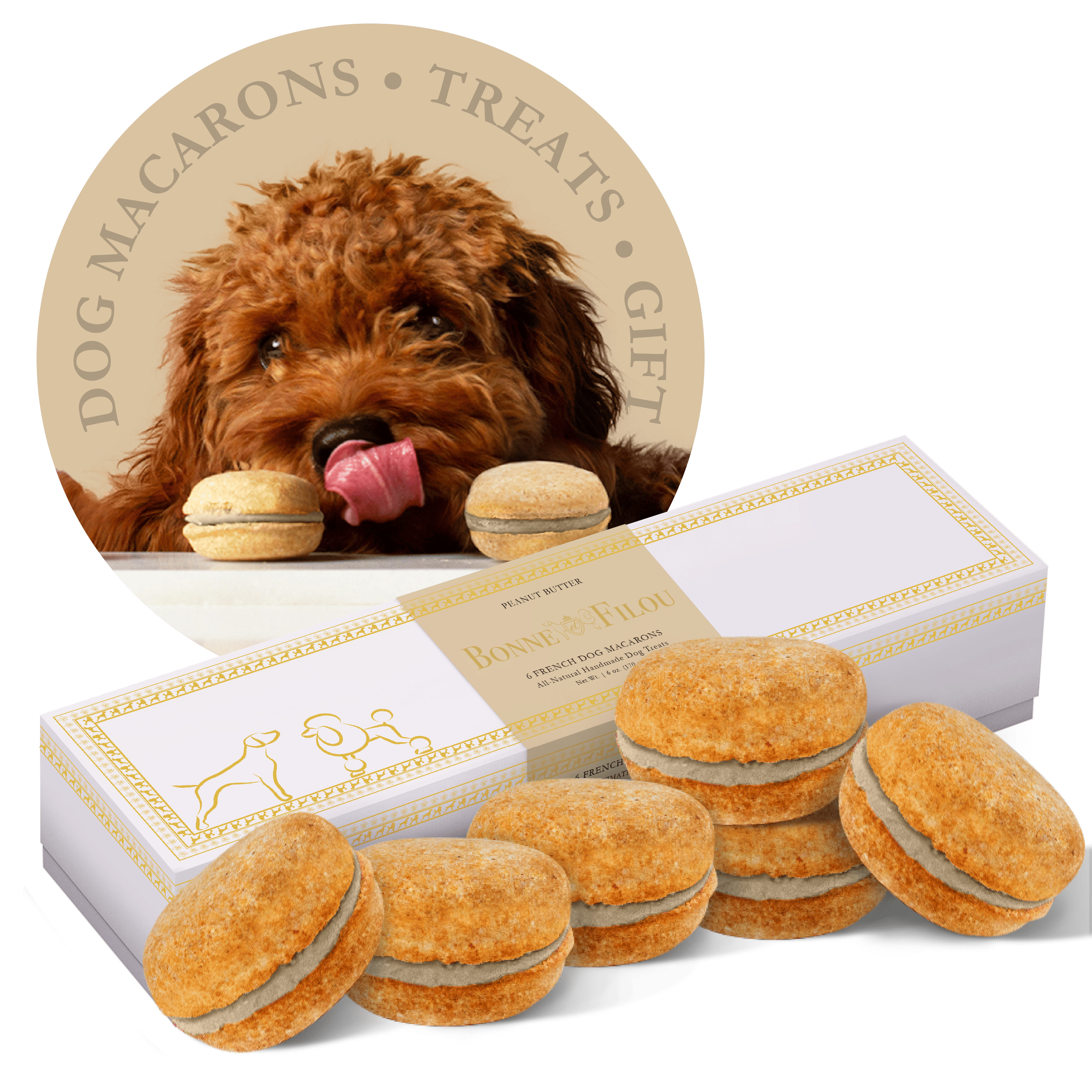 Dog Macarons - count of 6 (Dog Treats  Dog gifts)(D0102HIRL6A)