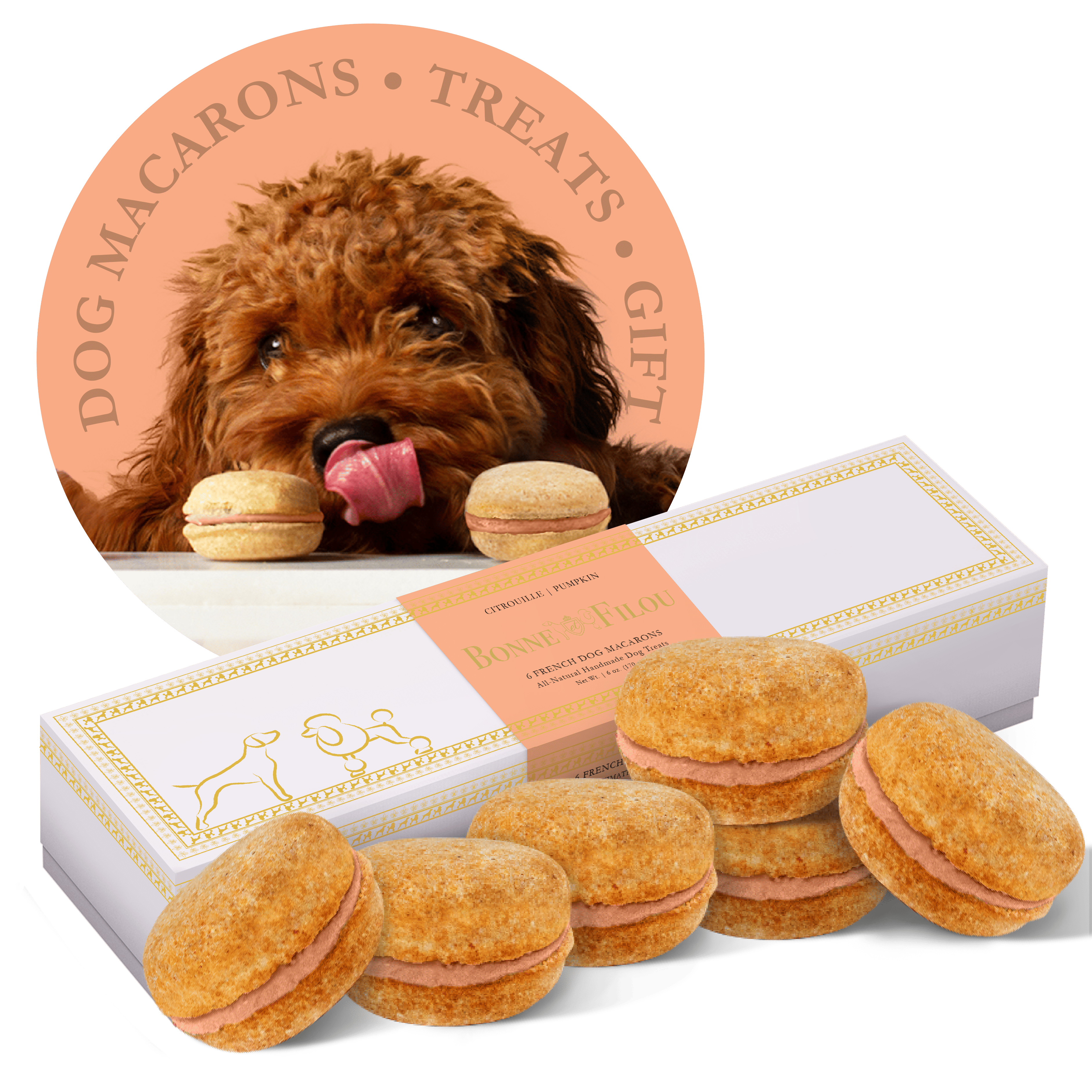 Dog Macarons - count of 6 (Dog Treats  Dog gifts)(D0102HIRLFW)