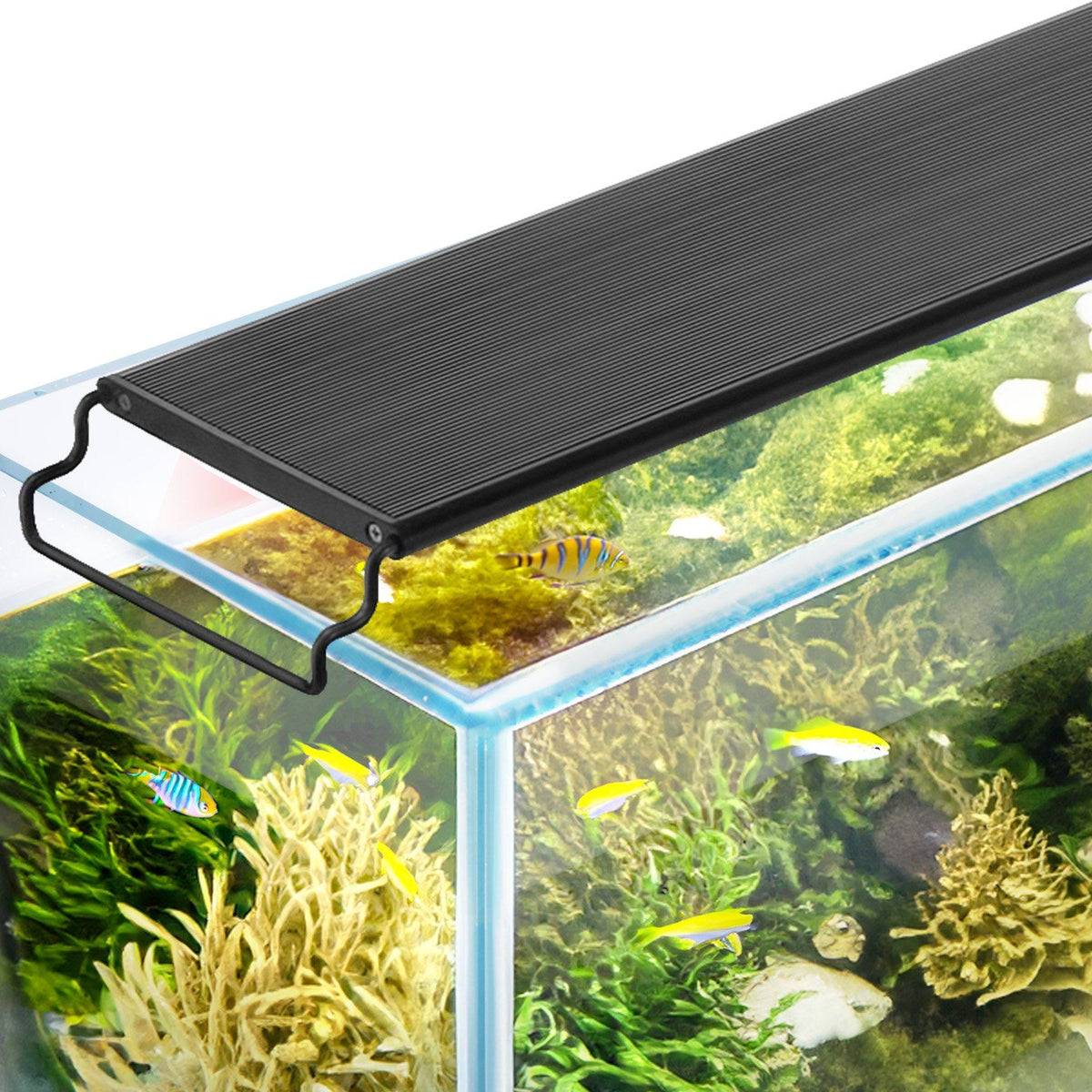 VEVOR Aquarium Light with LCD Monitor, 42W Full Spectrum Fish Tank Light with 24/7 Natural Mode, Adjustable Brightness & Timer -