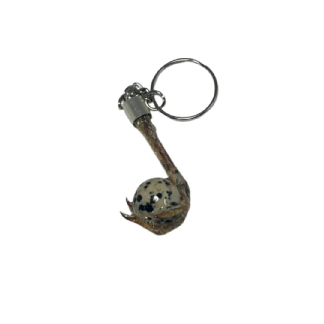 Quail Feet Necklace and Chain