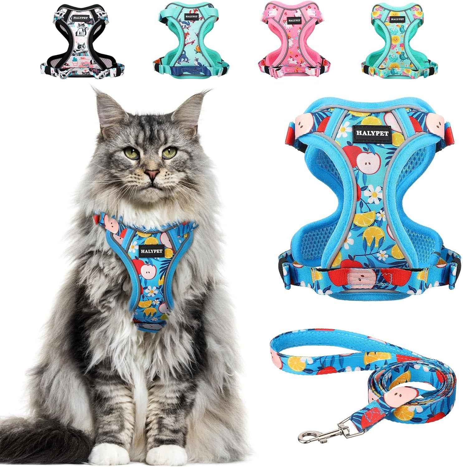 Escape-Proof Cat Harness & Leash Set with 59-Inch Leash, XS–M