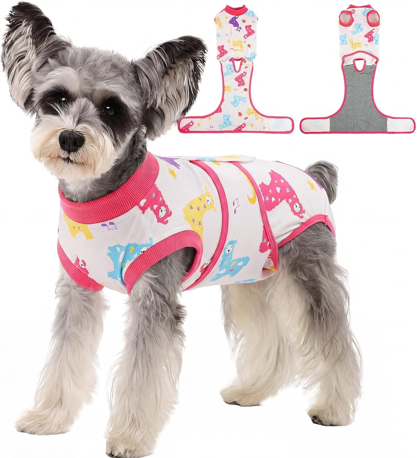 Female Dog Recovery Suit After Spay, XS–2XL