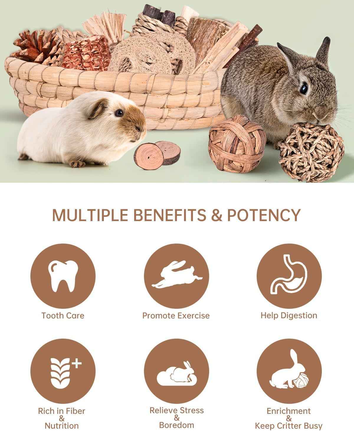 31PCS Rabbit Chew Toys Set for Dental Care & Enrichment
