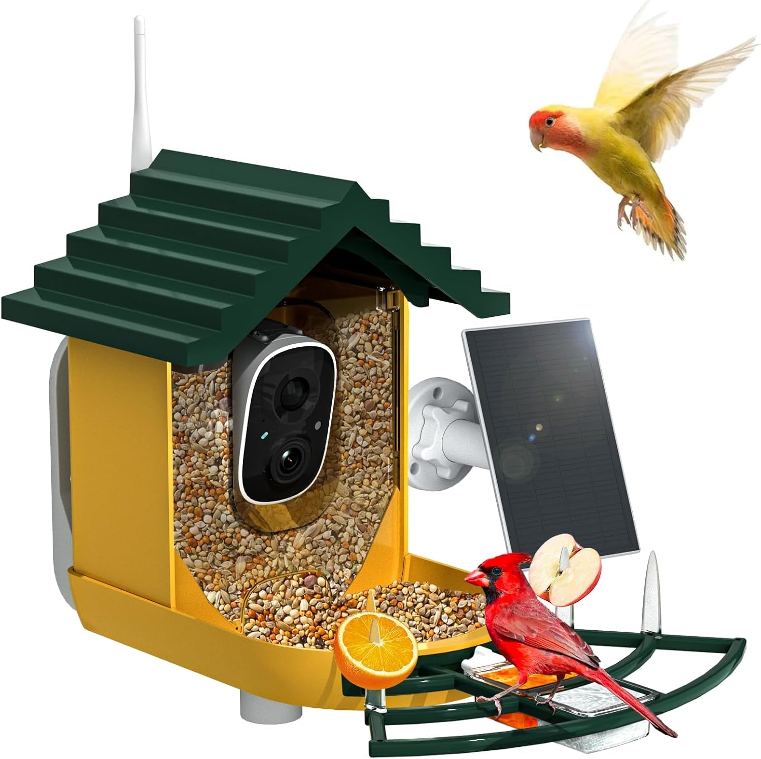 NAVFS Smart Bird Feeder Camera with Solar Panel, 2K Video & AI Bird ID