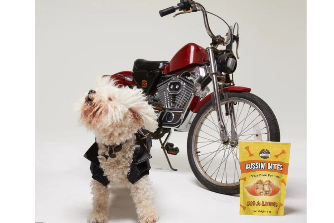 Single Ingredient, High Value Freeze-Dried Training Treats for Dogs & Cats - Sweet Potato