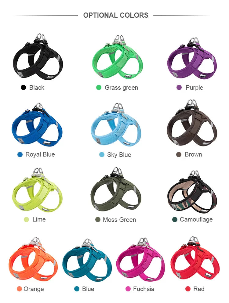 TrueLove TLH3013 Mesh Dog Harness - Royal Blue