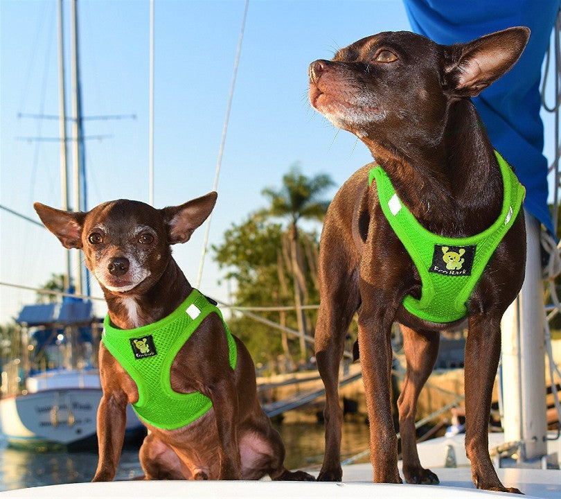 EcoBark Step In Dog Harness - Teacup & Small Breeds- Reflective Soft Mesh Harness for Teacup, Small Dogs and Puppies / Lime Green