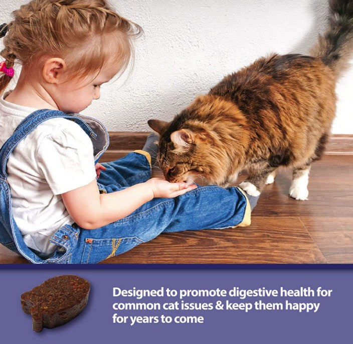 Emerald Pet Feline Health Chews Hairball Support