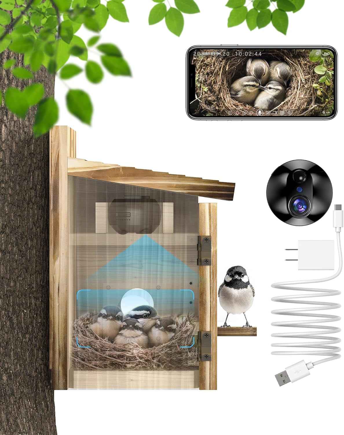 Smart Bird House Camera – Solar WiFi, 2K HD, Motion Alerts & Time-Lapse