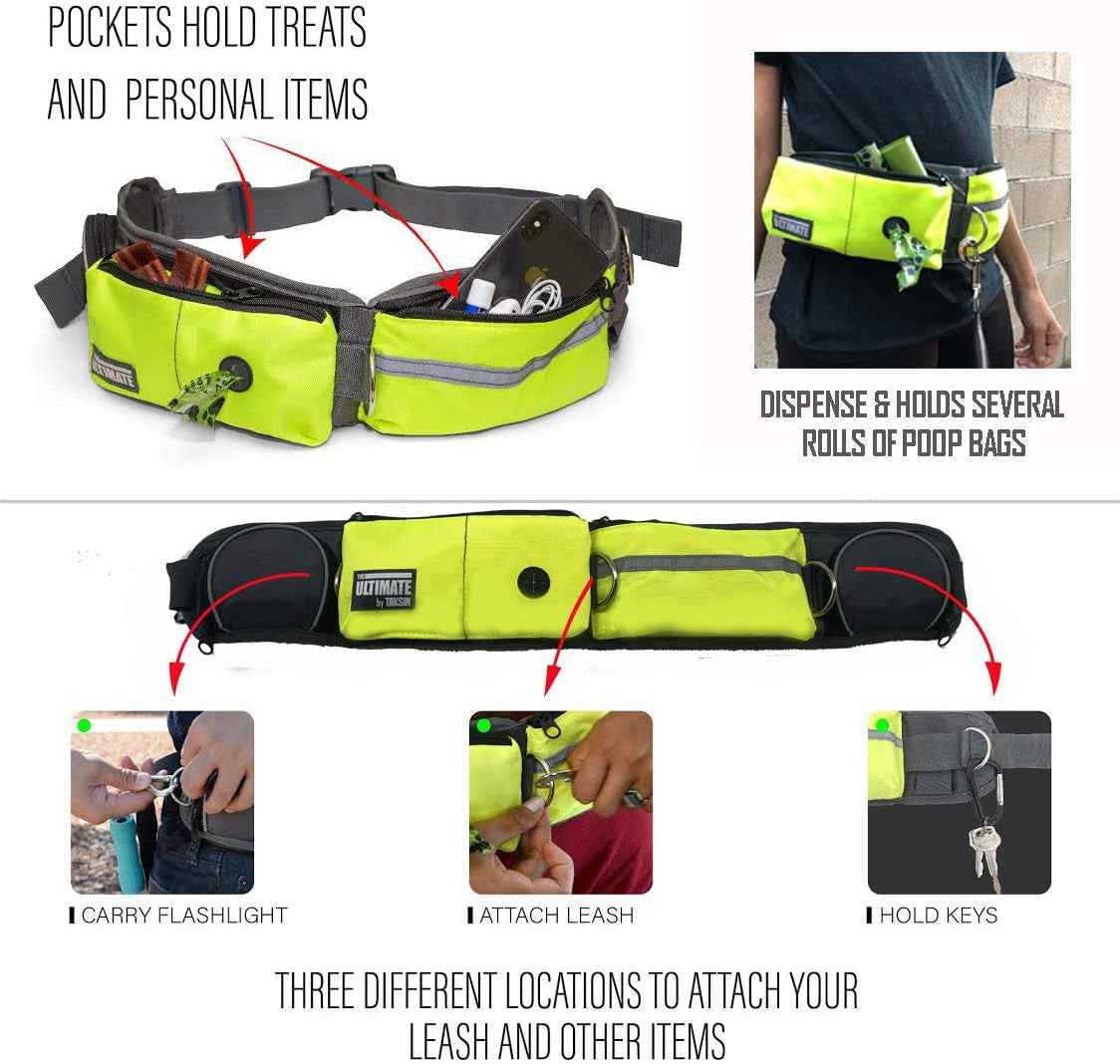 Hands Free Double Dog Leash Bungee Reflective Kit