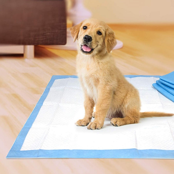 Four Paws Original Wee Wee Pads Floor Armor Leak-Proof System For All Dogs And Puppies