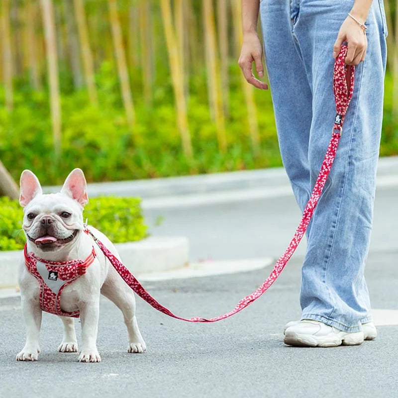 TrueLove Leash TLL3112
