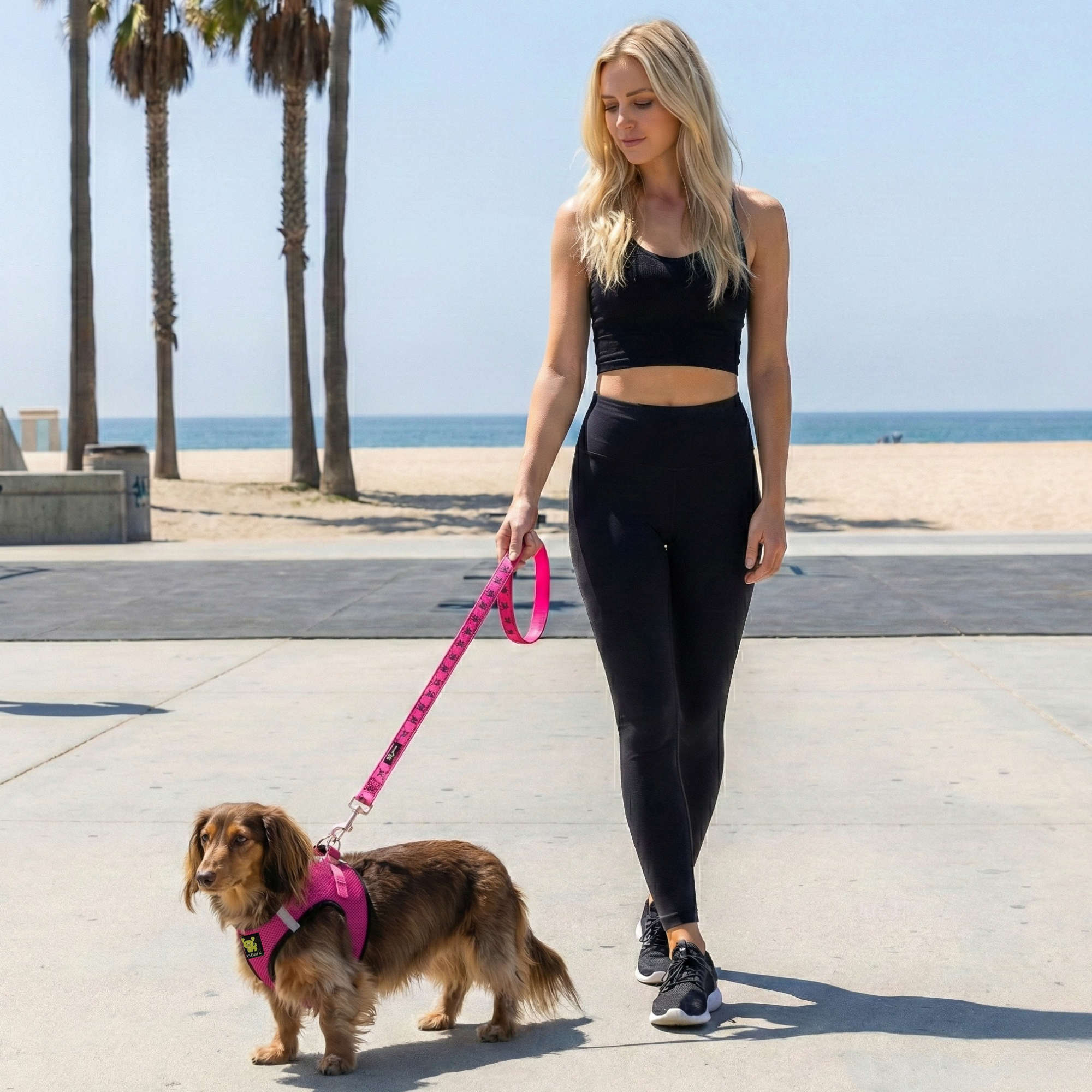 EcoBark Fuchsia Step In Dog Harness - Reflective Soft Mesh Harness for Teacup, Small Dogs and Puppies / Fuchsia Sport