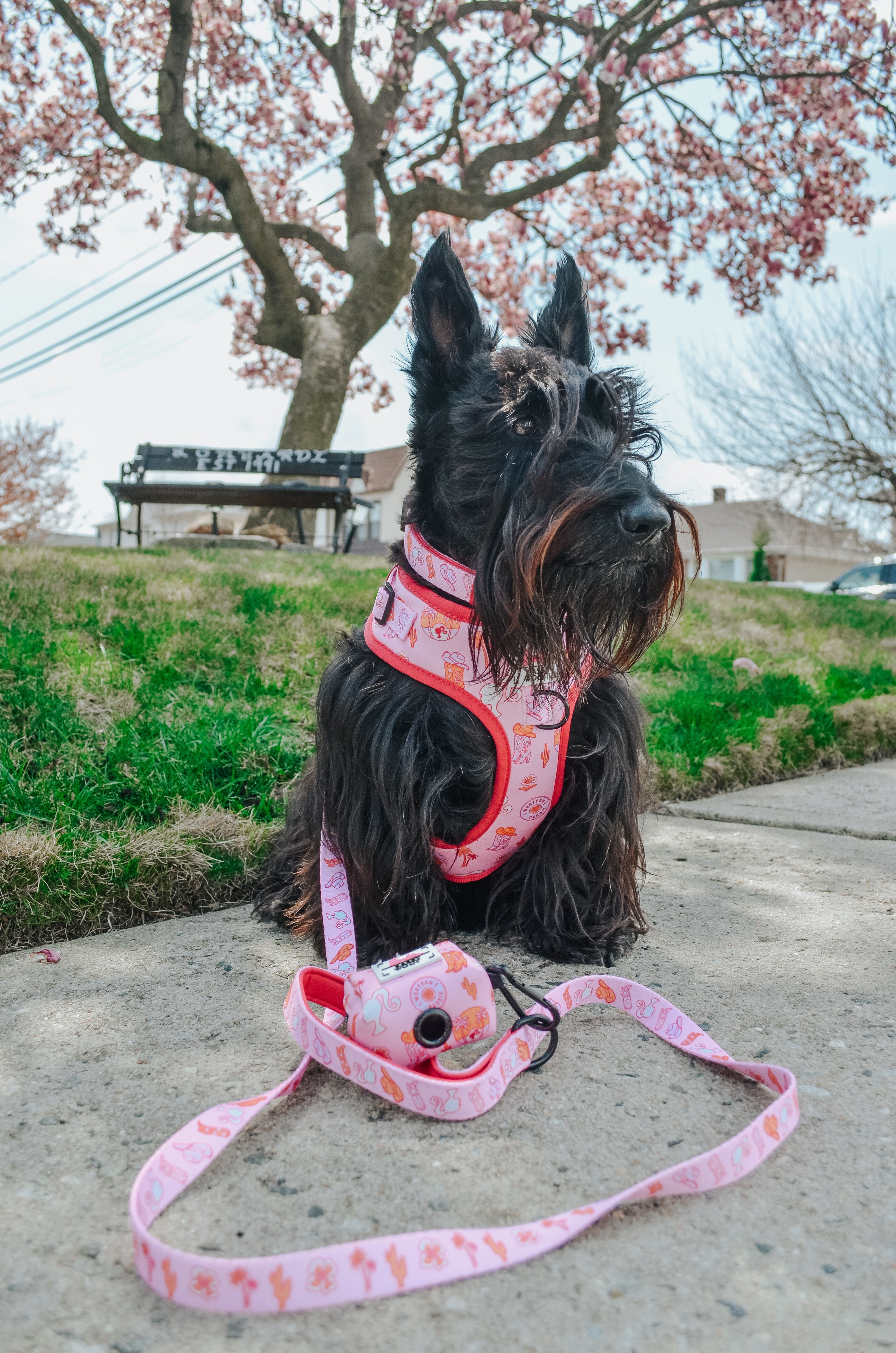 Dog Leash - Western Barbie™