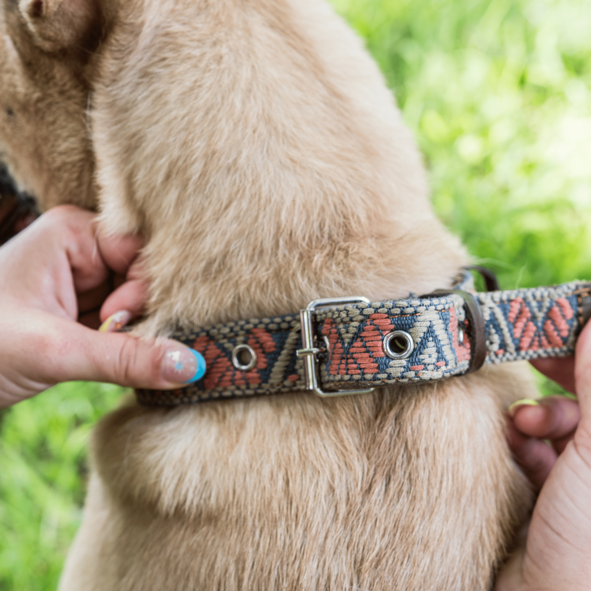 Handmade Leather Dog Collar — Aztec Embroidered | Bronze Olive