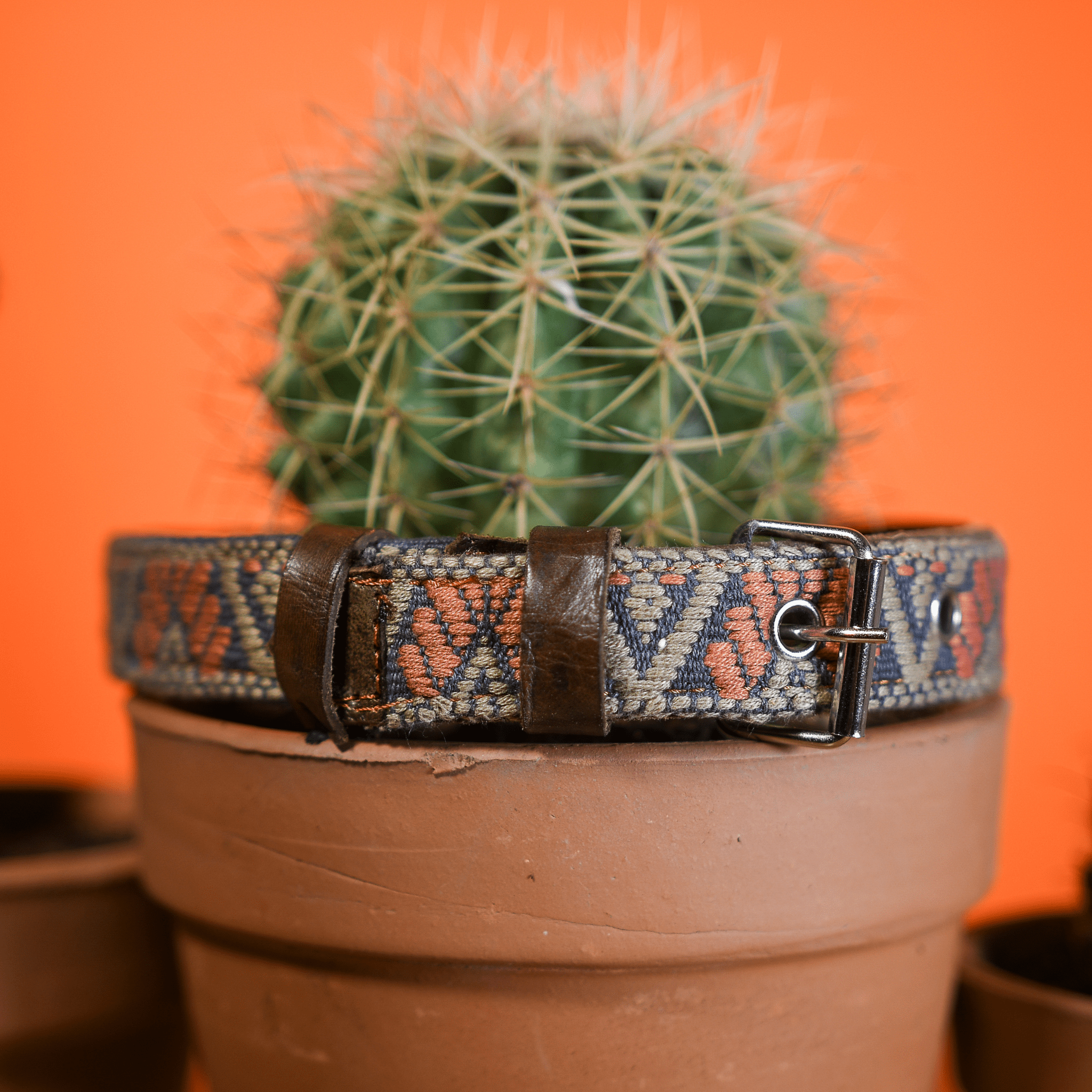 Handmade Leather Dog Collar — Aztec Embroidered | Bronze Olive