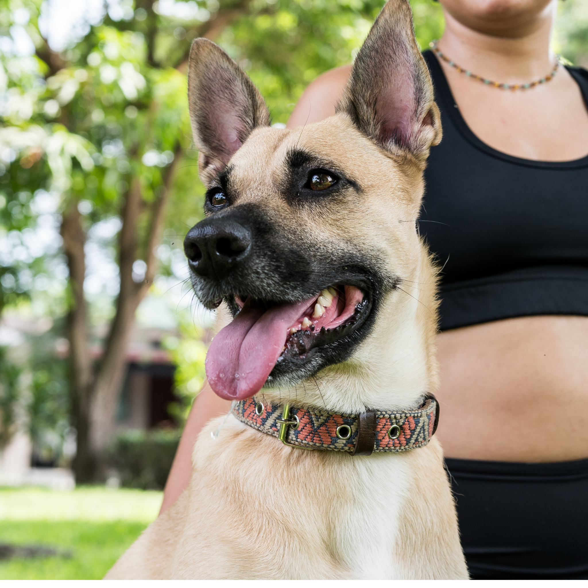 Handmade Leather Dog Collar — Aztec Embroidered | Bronze Olive