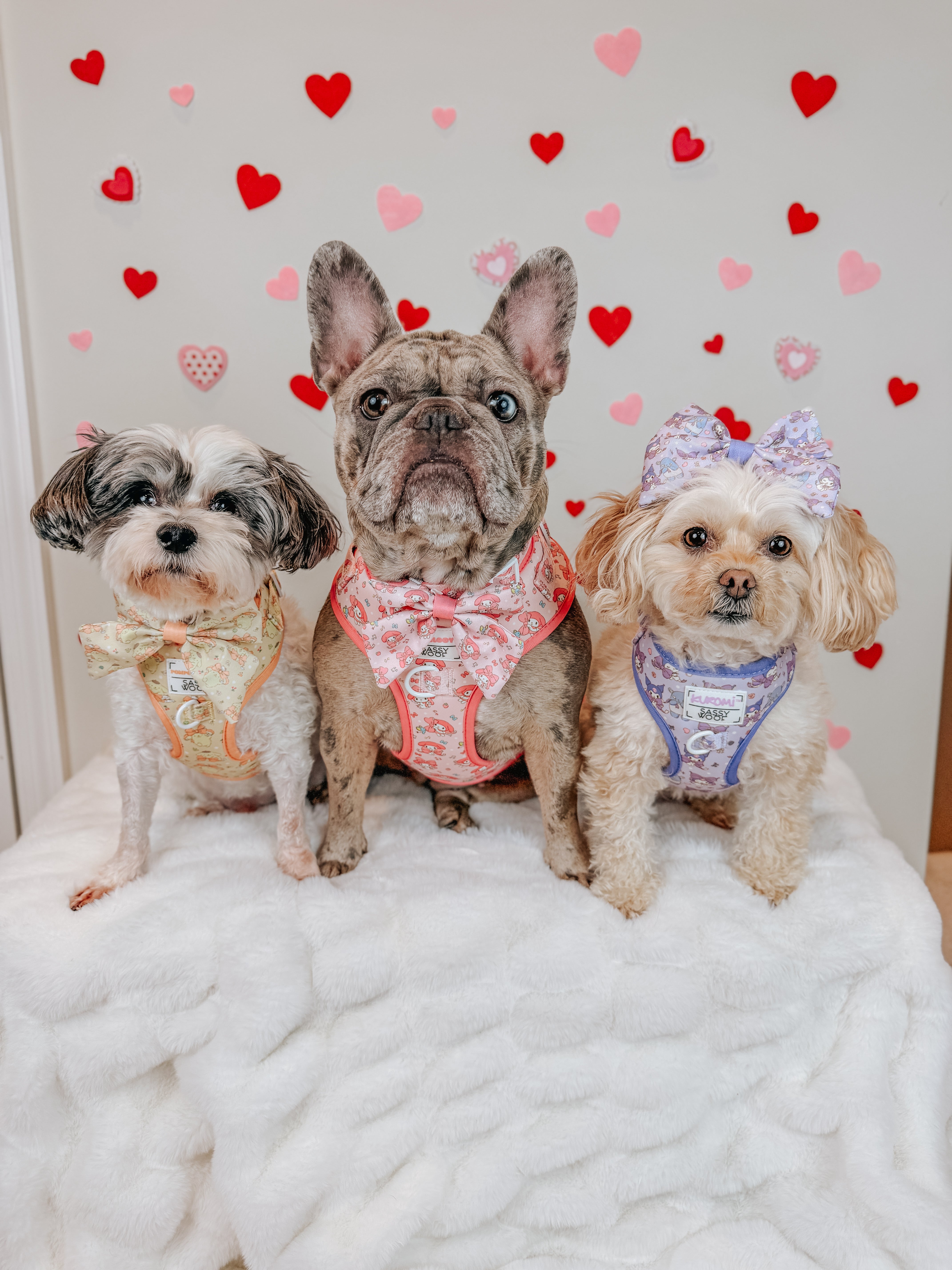 Dog Four Piece Bundle - My Melody