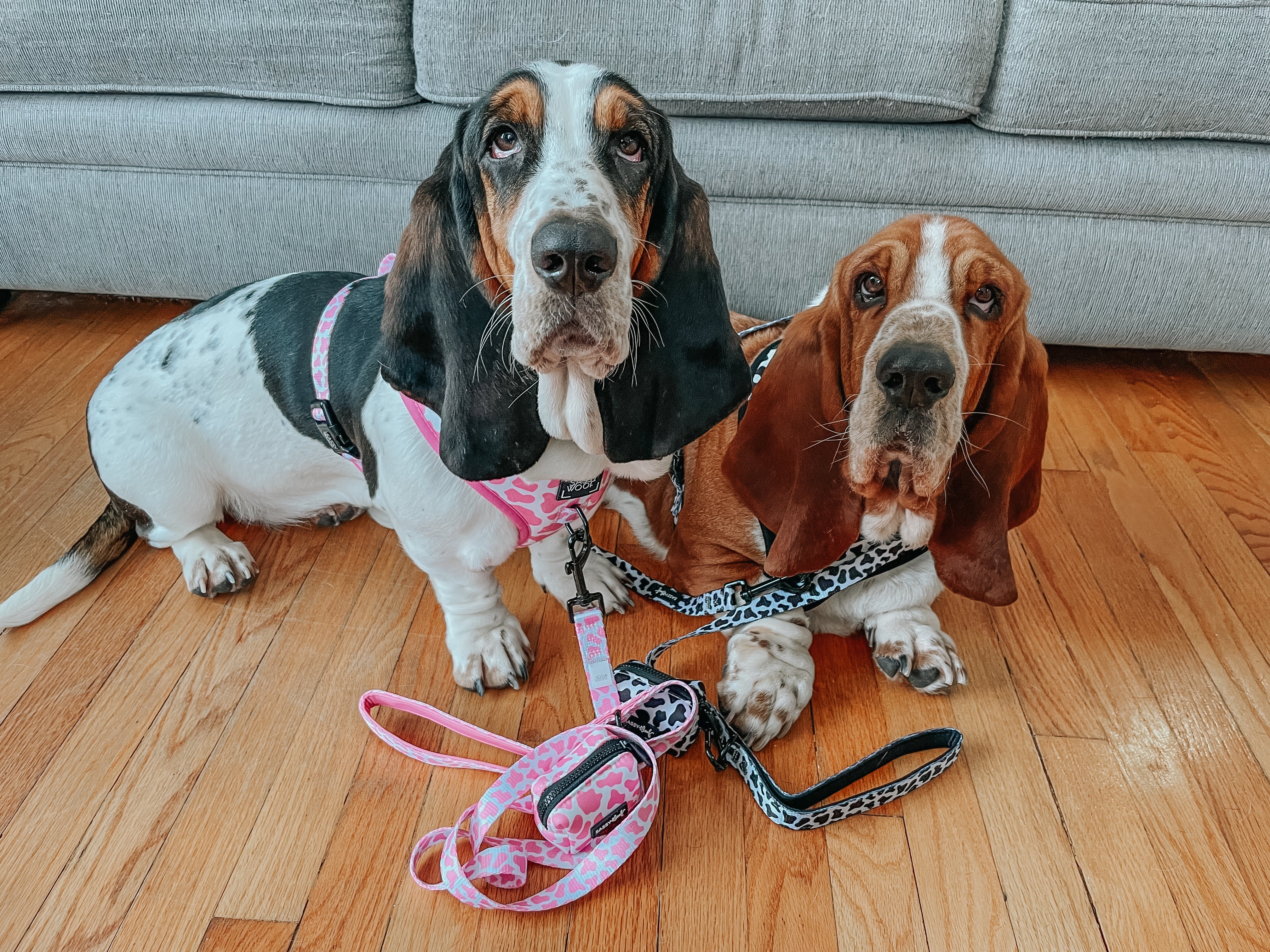 Dog Leash - Strawberry Milk