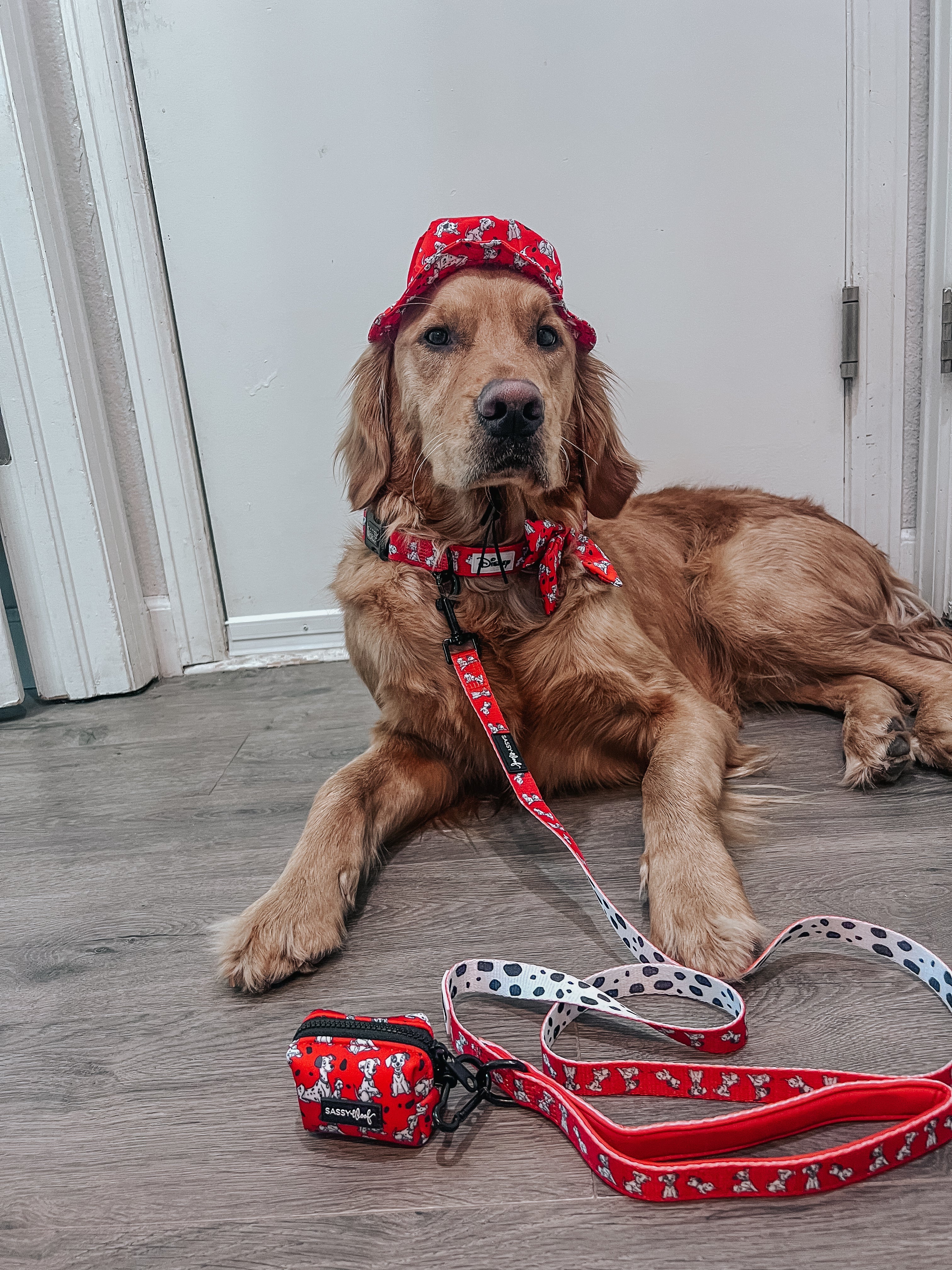 Dog Leash - Disney's 101 Dalmatians