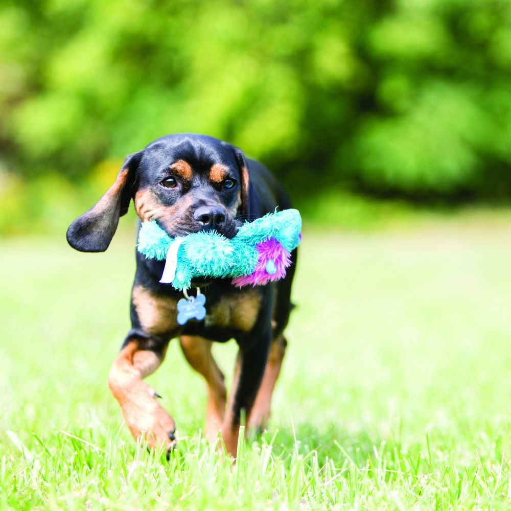 Kong Spunky Monkey Cozie Dog Toy, Small