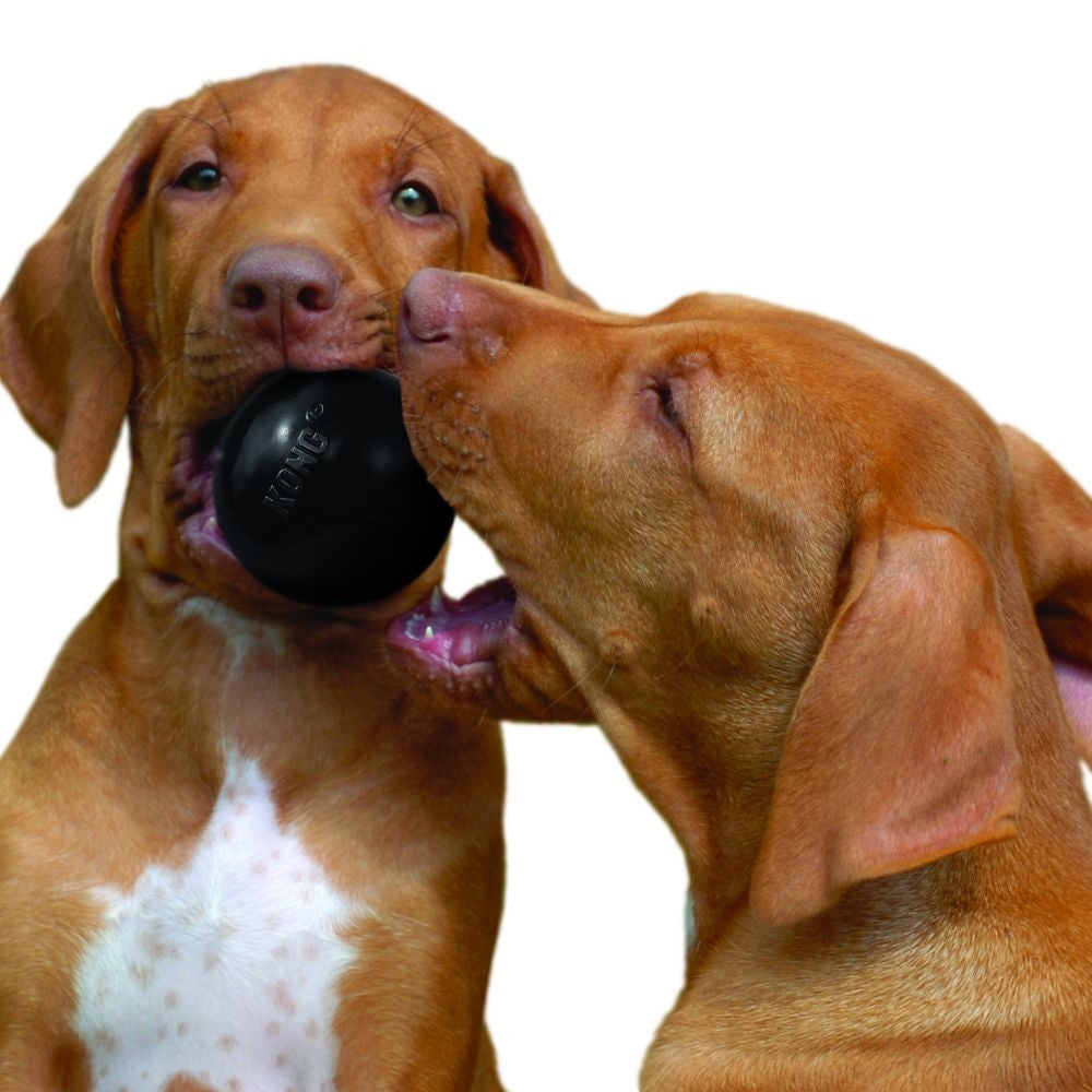 Kong - Extreme Ball - Durable Rubber Dog Toy For Power Chewers, Black - For Medium/Large Dogs