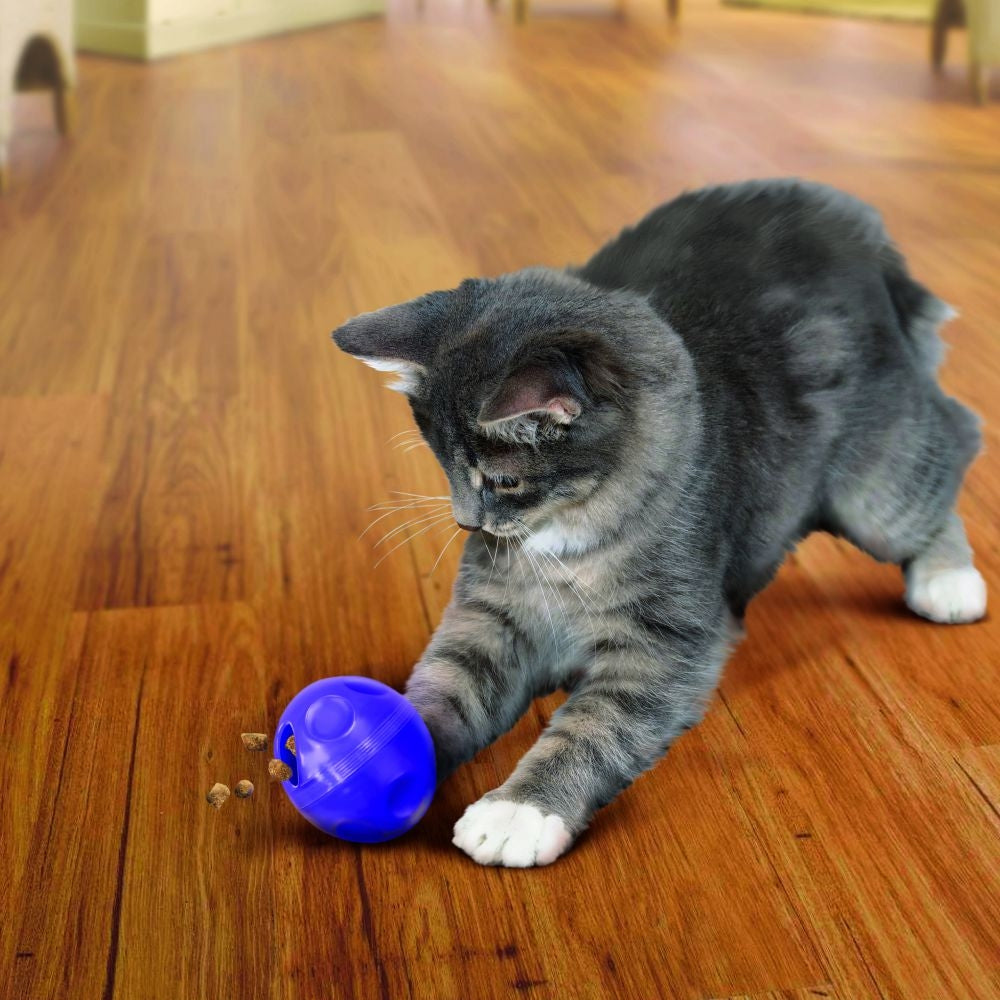 KONG Active Cat Treat Ball Cat Toy