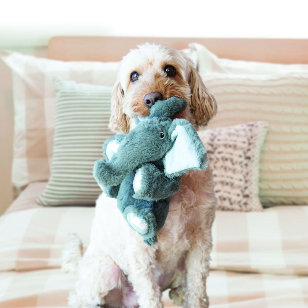 Kong Comfort Kiddos Dog Toy - Elephant Large - (6.2' W X 8.8' H) - Pack Of 12