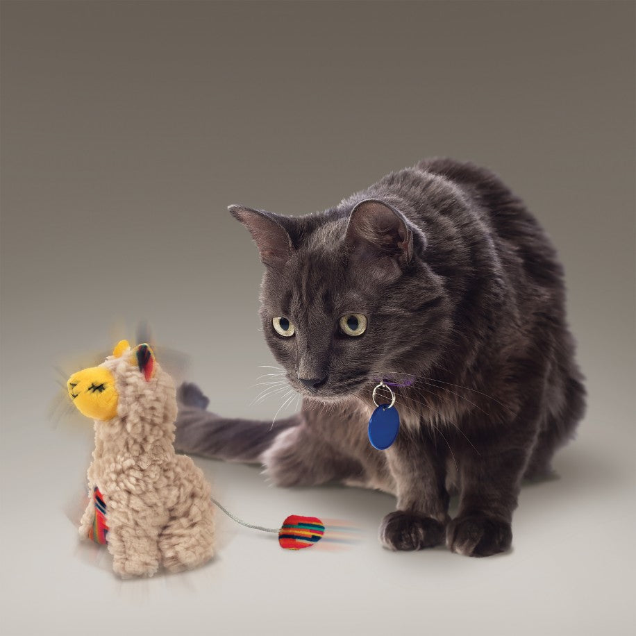 Kong Company 38745920: Softies Buzzy Llama Catnip Toy