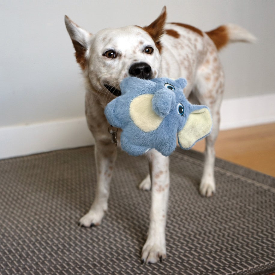 Kong Snuzzles Kiddos Elephant Dog Toy Small