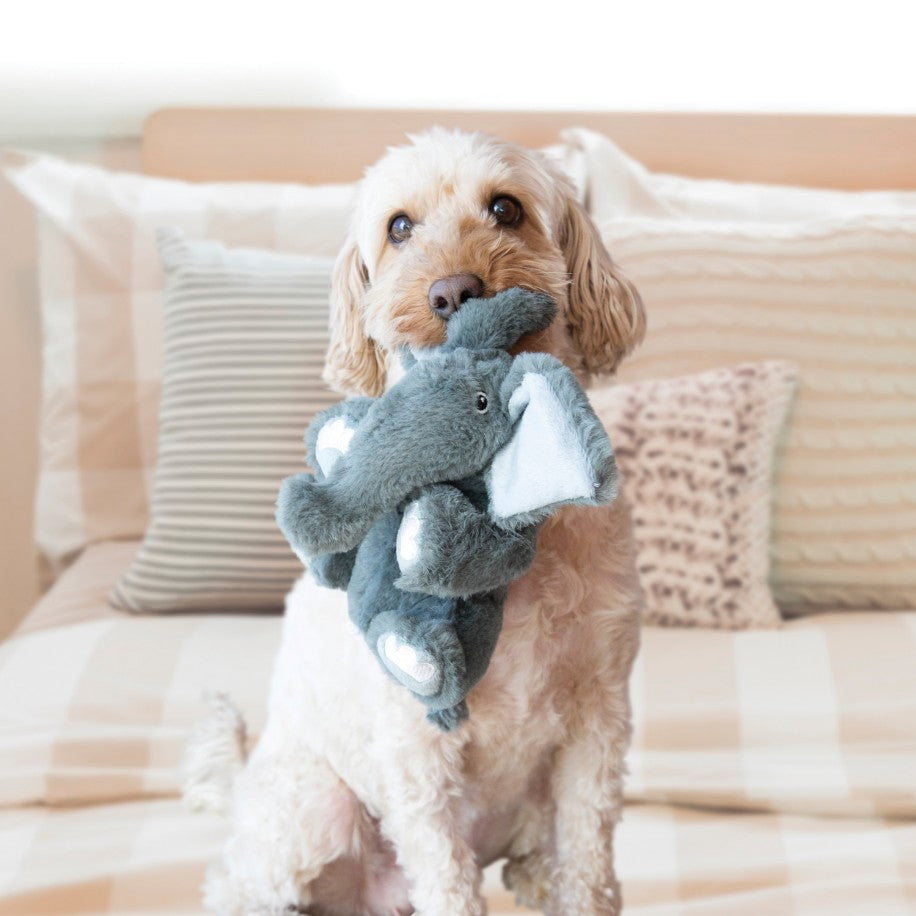 Kong Comfort Kiddos Jumbo Elephant Squeak Dog Toy X-Large