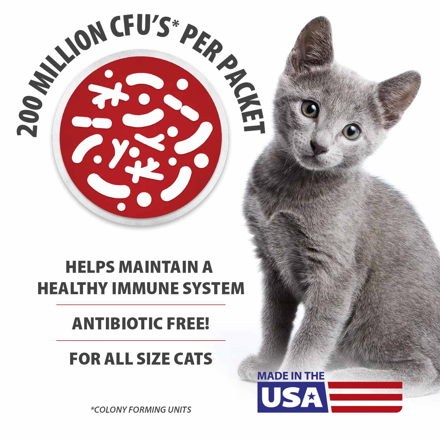 Jeffers BELLY BUDDY Probiotic Supplement Packets for Cats – Multi-Strain Digestive & Immune Support