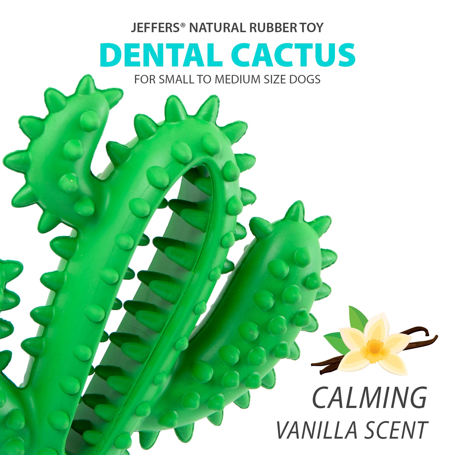 Jeffers Cactus Natural Rubber Dental Chew Toy for Dogs for Healthy Chewing Habits